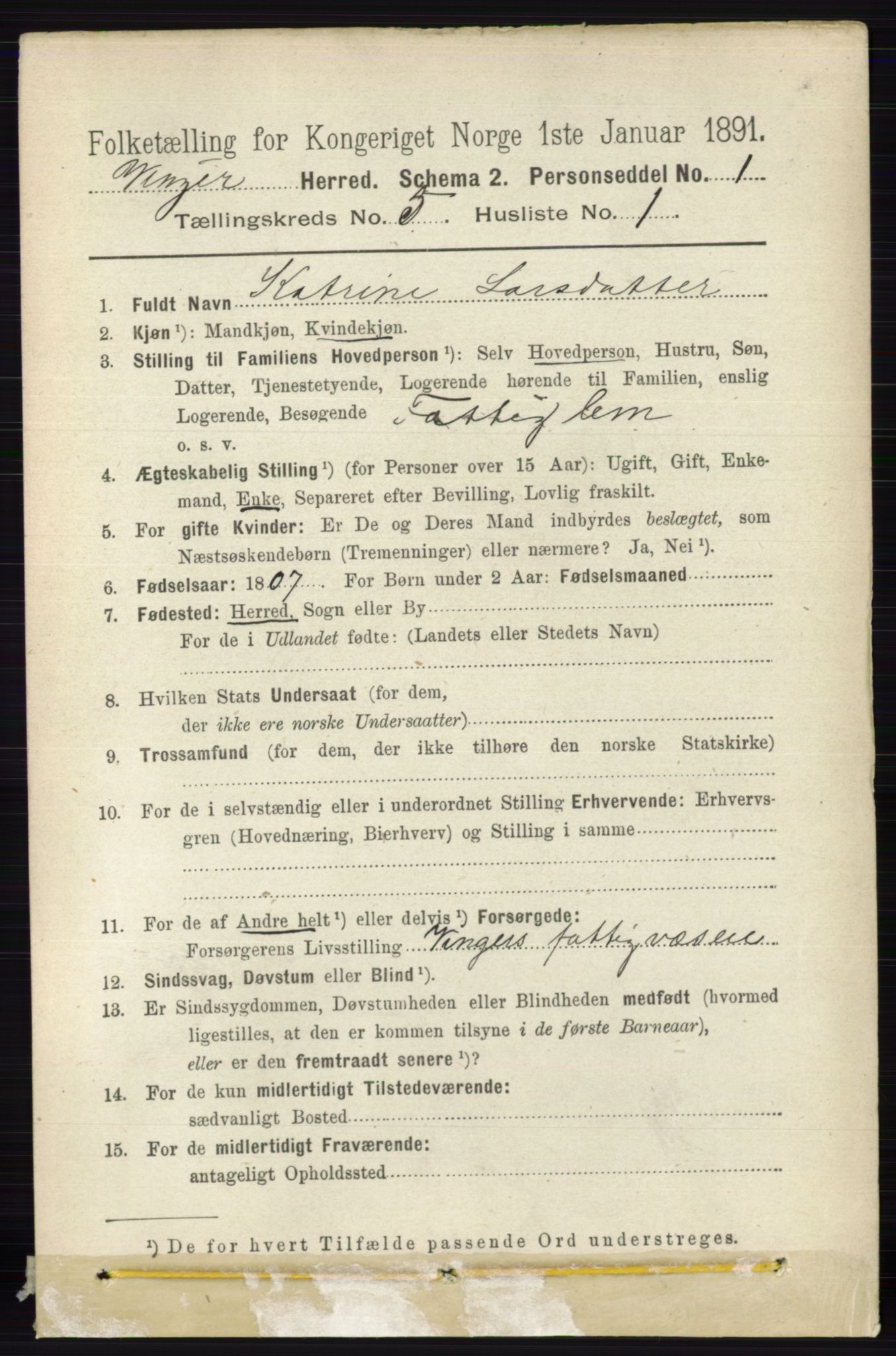 RA, 1891 census for 0421 Vinger, 1891, p. 2047