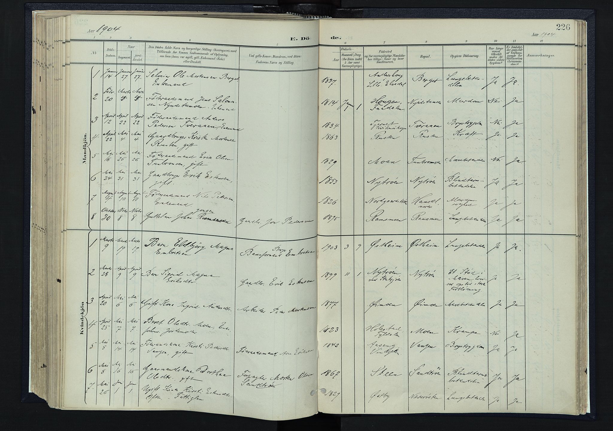 Tynset prestekontor, SAH/PREST-058/H/Ha/Haa/L0025: Parish register (official) no. 25, 1900-1914, p. 226