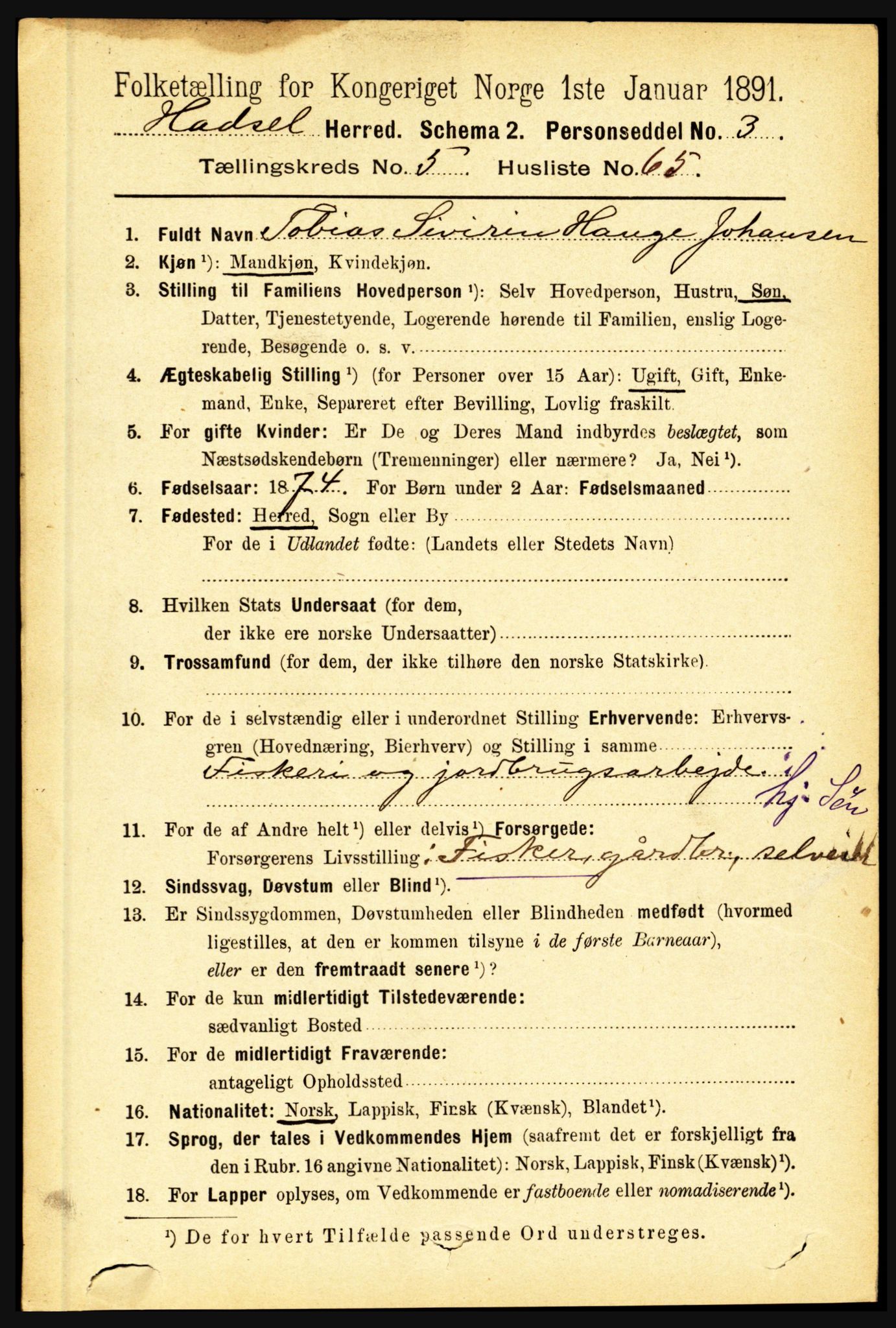 RA, 1891 census for 1866 Hadsel, 1891, p. 2571