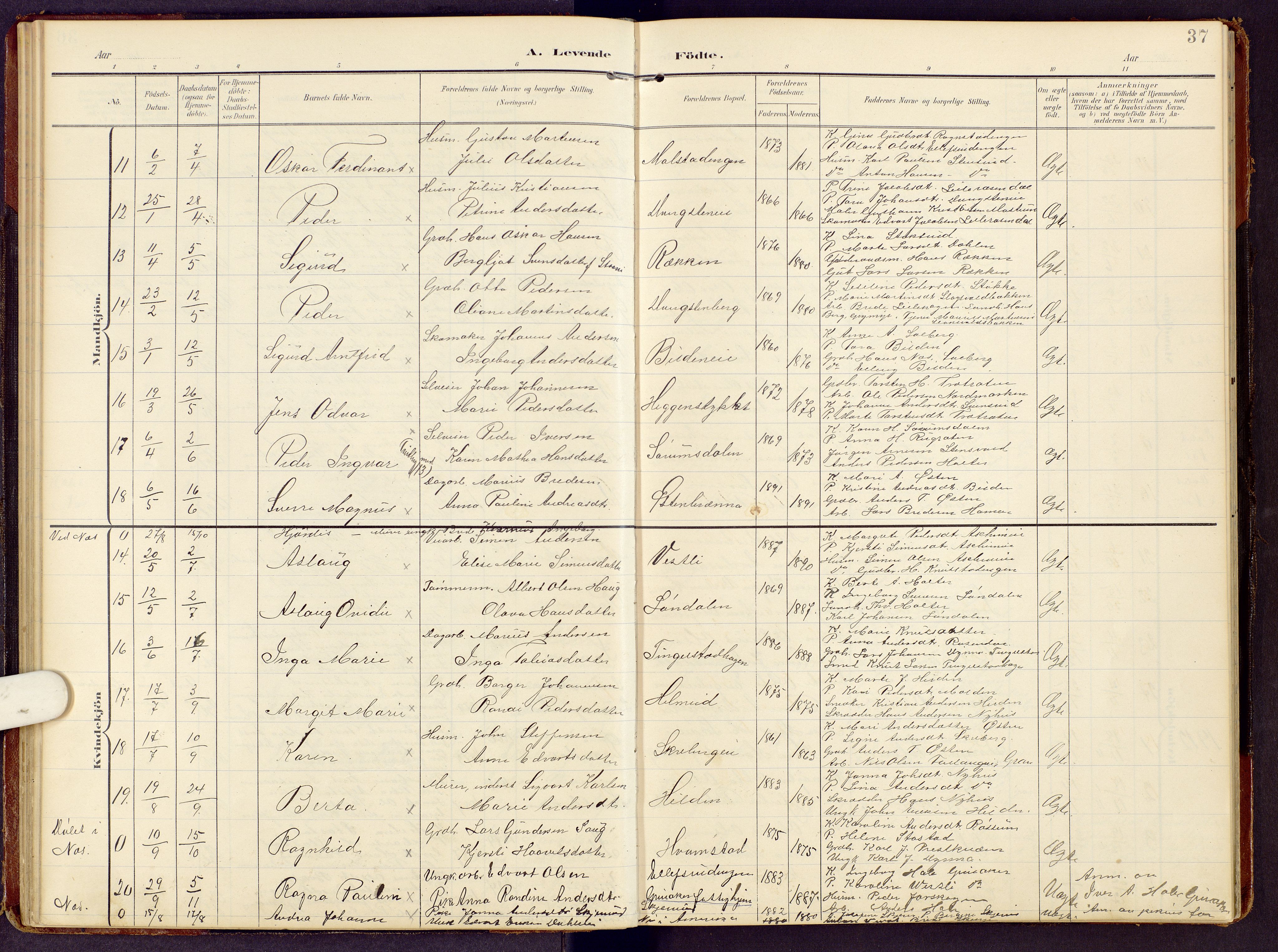 Brandbu prestekontor, SAH/PREST-114/H/Ha/Hab/L0009: Parish register (copy) no. 9, 1903-1916, p. 37