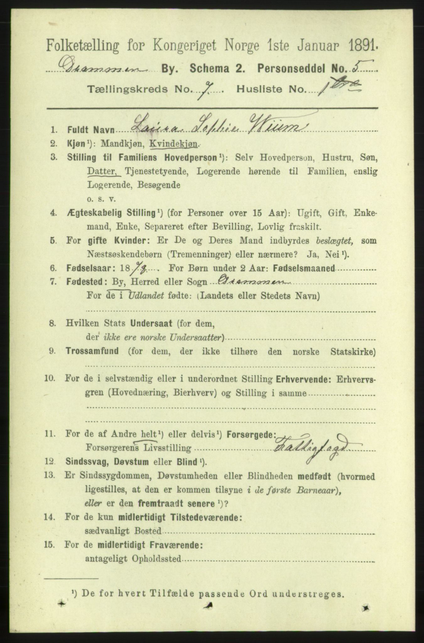 RA, 1891 census for 0602 Drammen, 1891, p. 6356