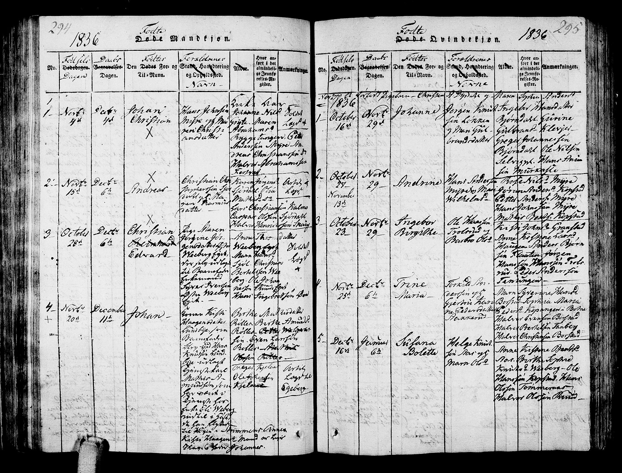 Sande Kirkebøker, SAKO/A-53/G/Ga/L0001: Parish register (copy) no. 1, 1814-1847, p. 294-295
