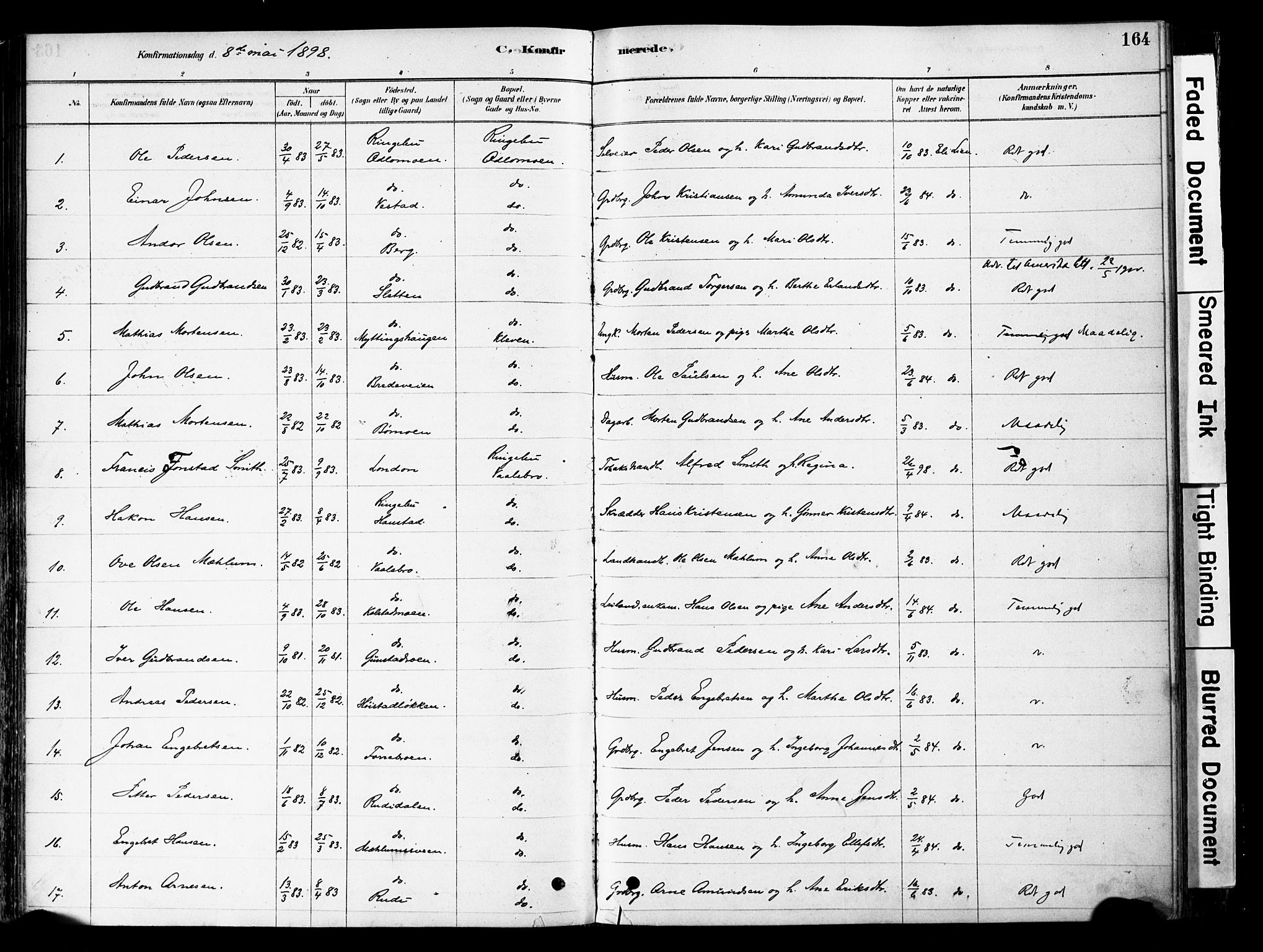 Ringebu prestekontor, SAH/PREST-082/H/Ha/Haa/L0008: Parish register (official) no. 8, 1878-1898, p. 164