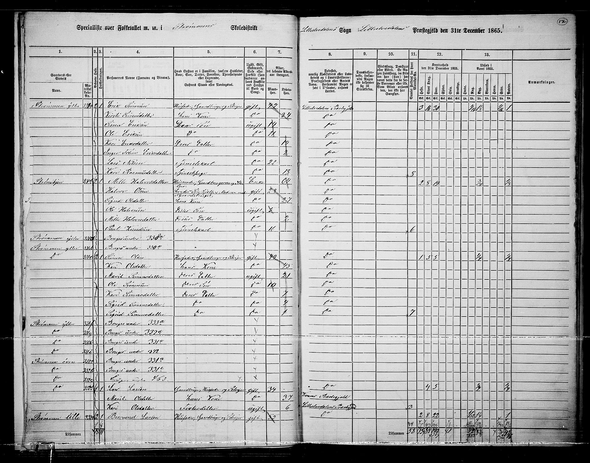 RA, 1865 census for Lille Elvedalen, 1865, p. 16