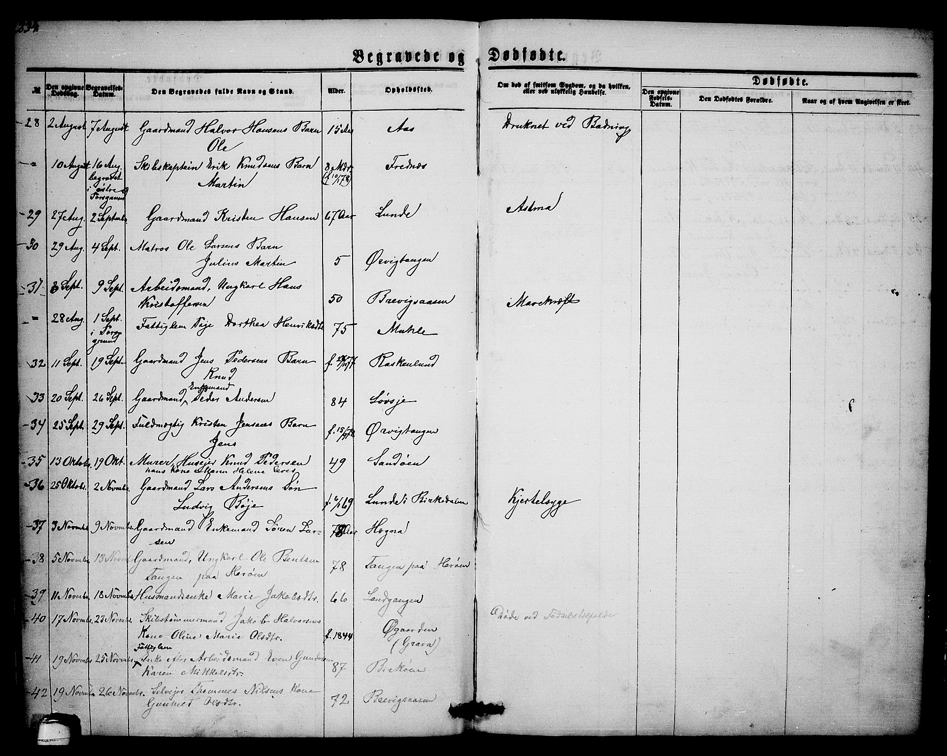 Eidanger kirkebøker, AV/SAKO-A-261/G/Ga/L0001: Parish register (copy) no. 1, 1863-1878, p. 234
