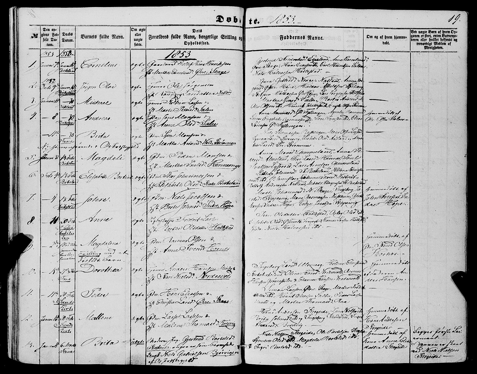 Fana Sokneprestembete, AV/SAB-A-75101/H/Haa/Haaa/L0011: Parish register (official) no. A 11, 1851-1862, p. 19