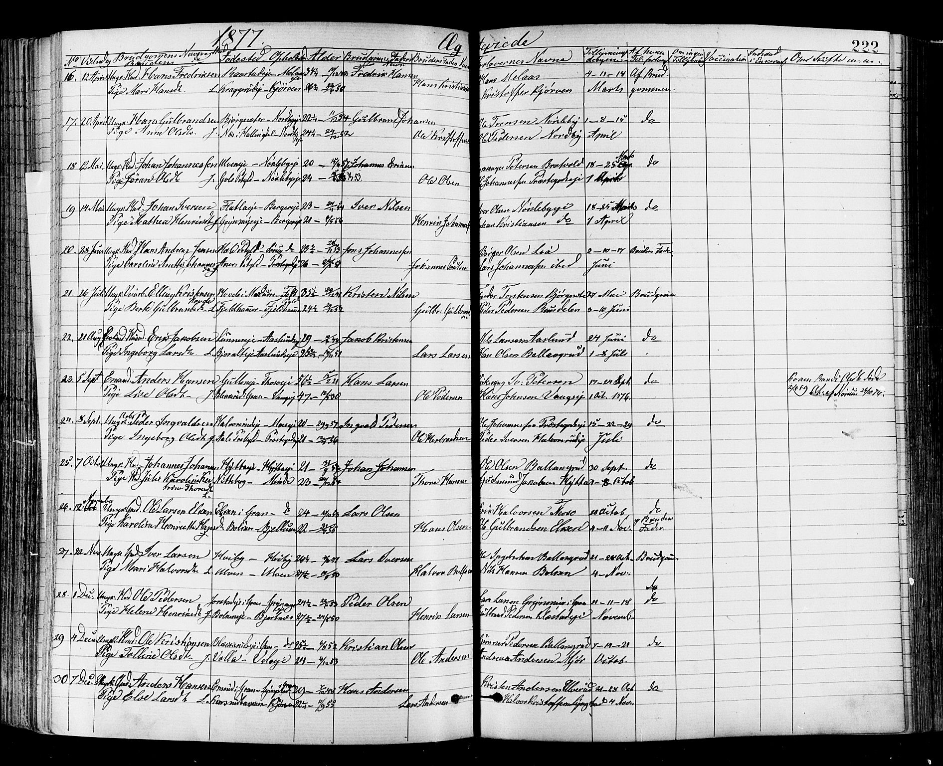 Jevnaker prestekontor, SAH/PREST-116/H/Ha/Haa/L0008: Parish register (official) no. 8, 1877-1890, p. 222