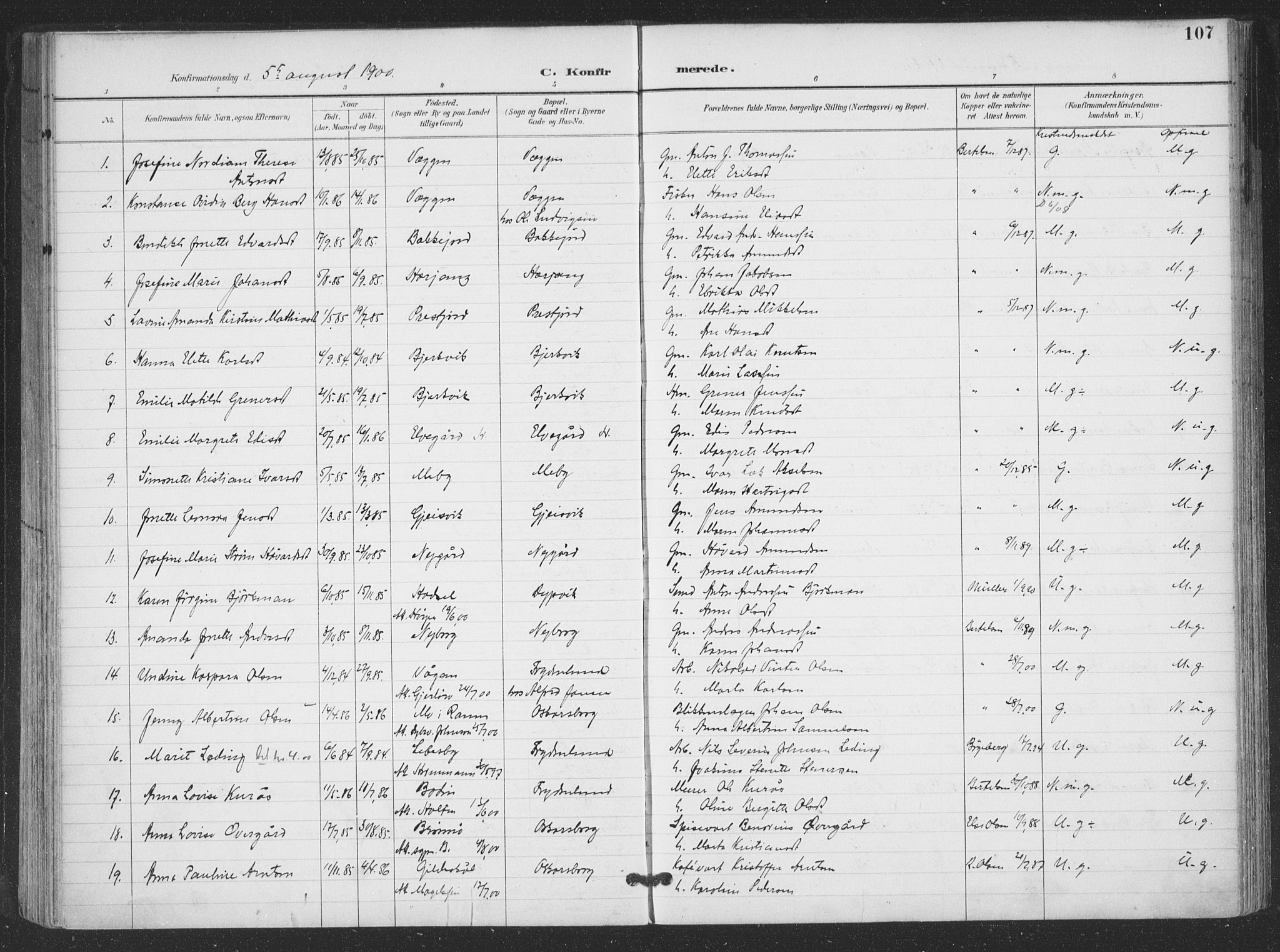 Ministerialprotokoller, klokkerbøker og fødselsregistre - Nordland, SAT/A-1459/866/L0939: Parish register (official) no. 866A02, 1894-1906, p. 107