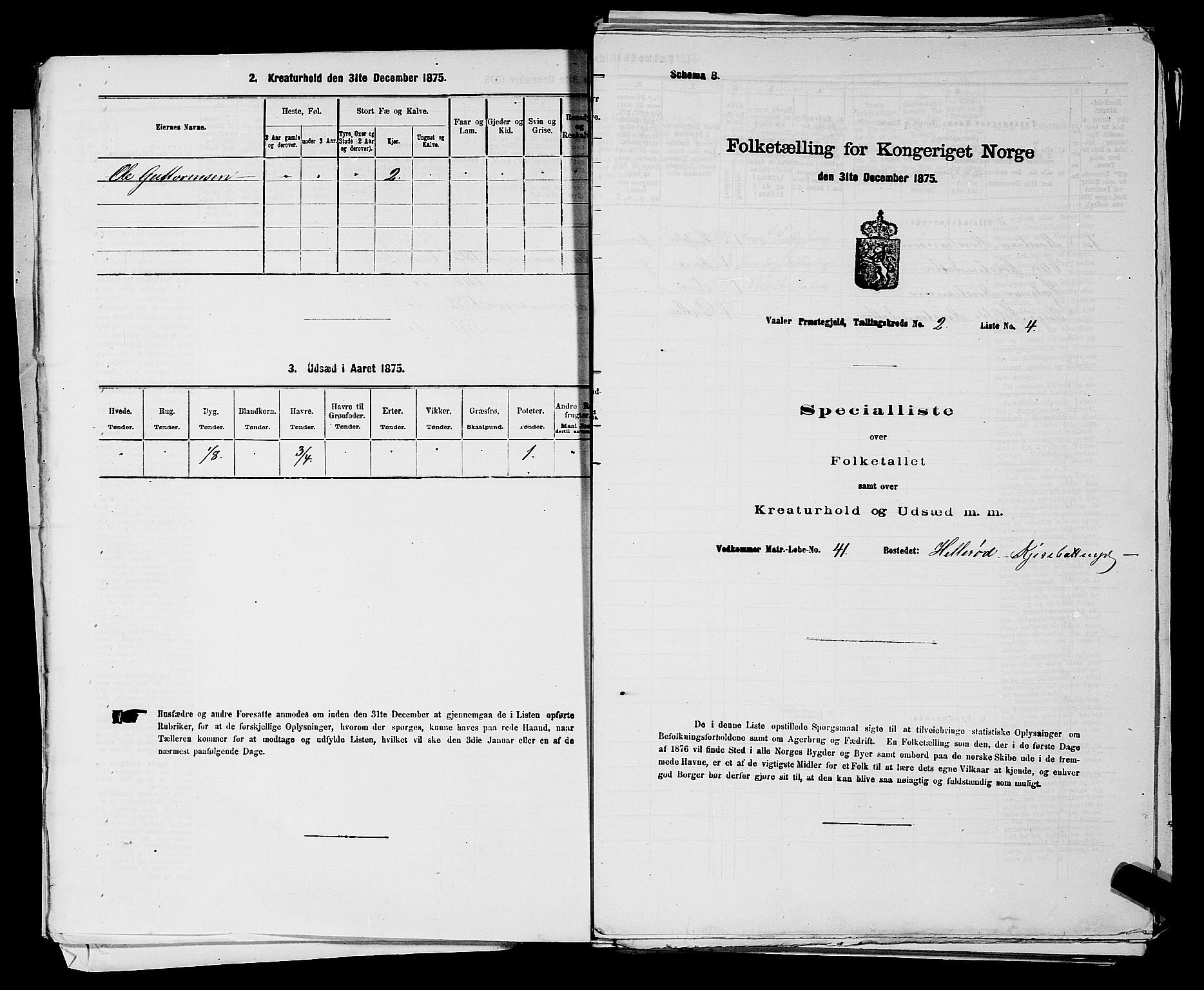 RA, 1875 census for 0137P Våler, 1875, p. 243