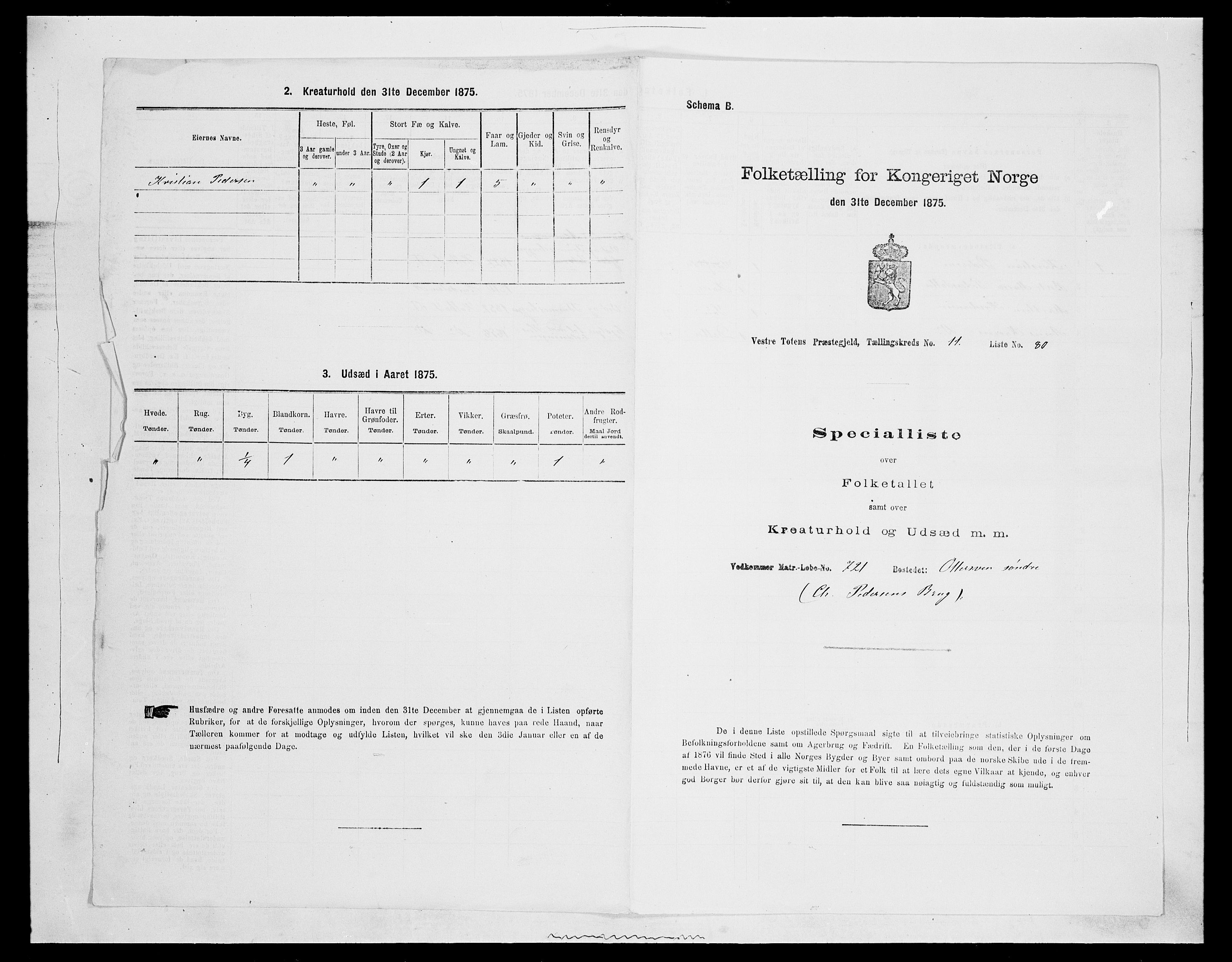 SAH, 1875 census for 0529P Vestre Toten, 1875, p. 2199