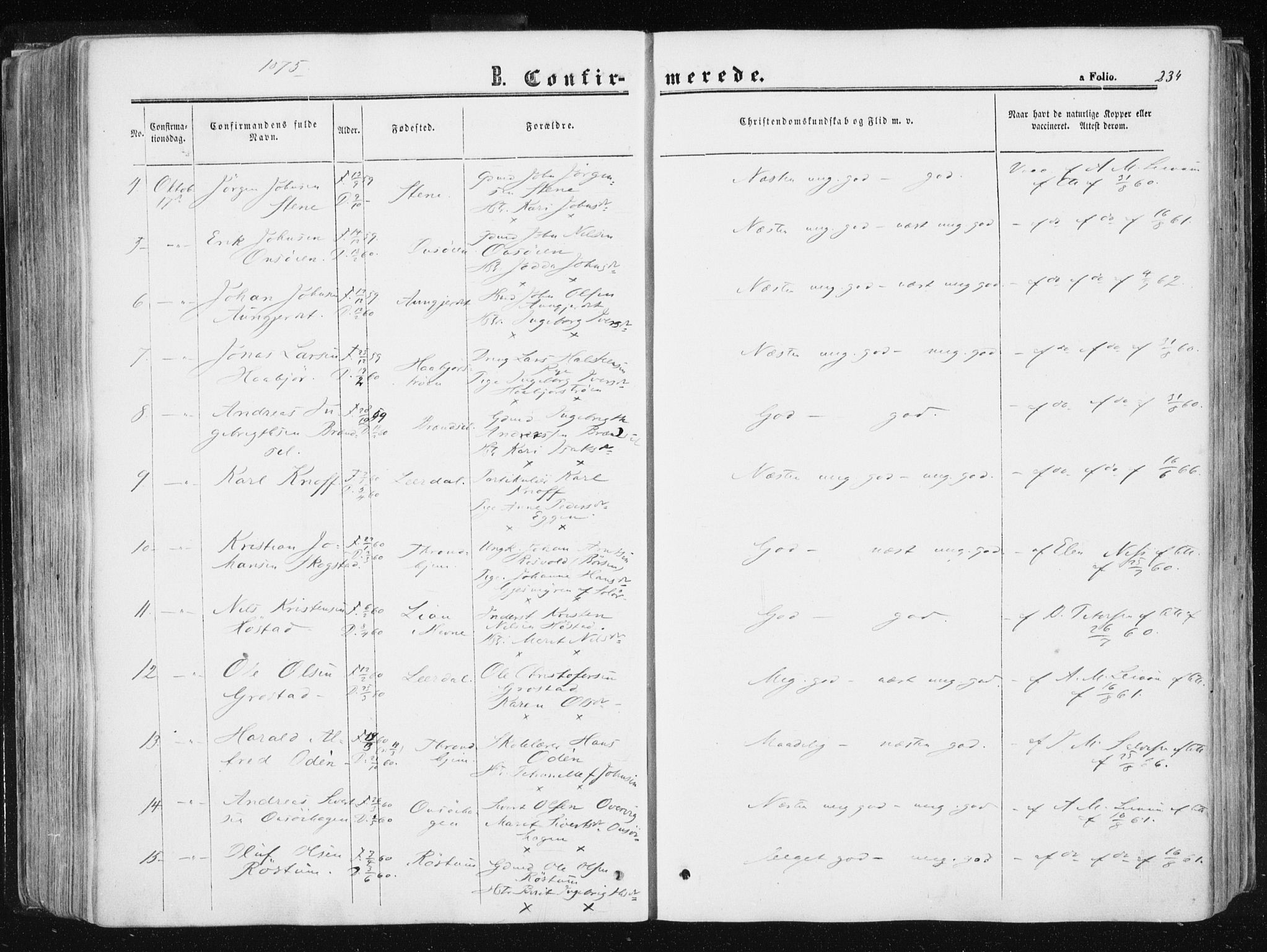 Ministerialprotokoller, klokkerbøker og fødselsregistre - Sør-Trøndelag, AV/SAT-A-1456/612/L0377: Parish register (official) no. 612A09, 1859-1877, p. 234