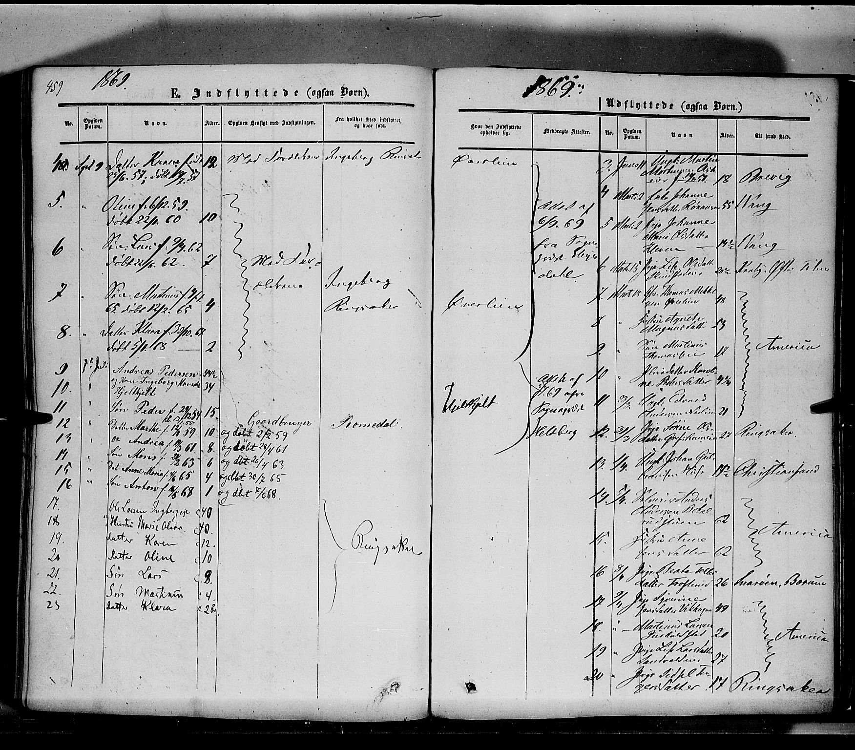 Nes prestekontor, Hedmark, AV/SAH-PREST-020/K/Ka/L0004: Parish register (official) no. 4, 1852-1886, p. 459