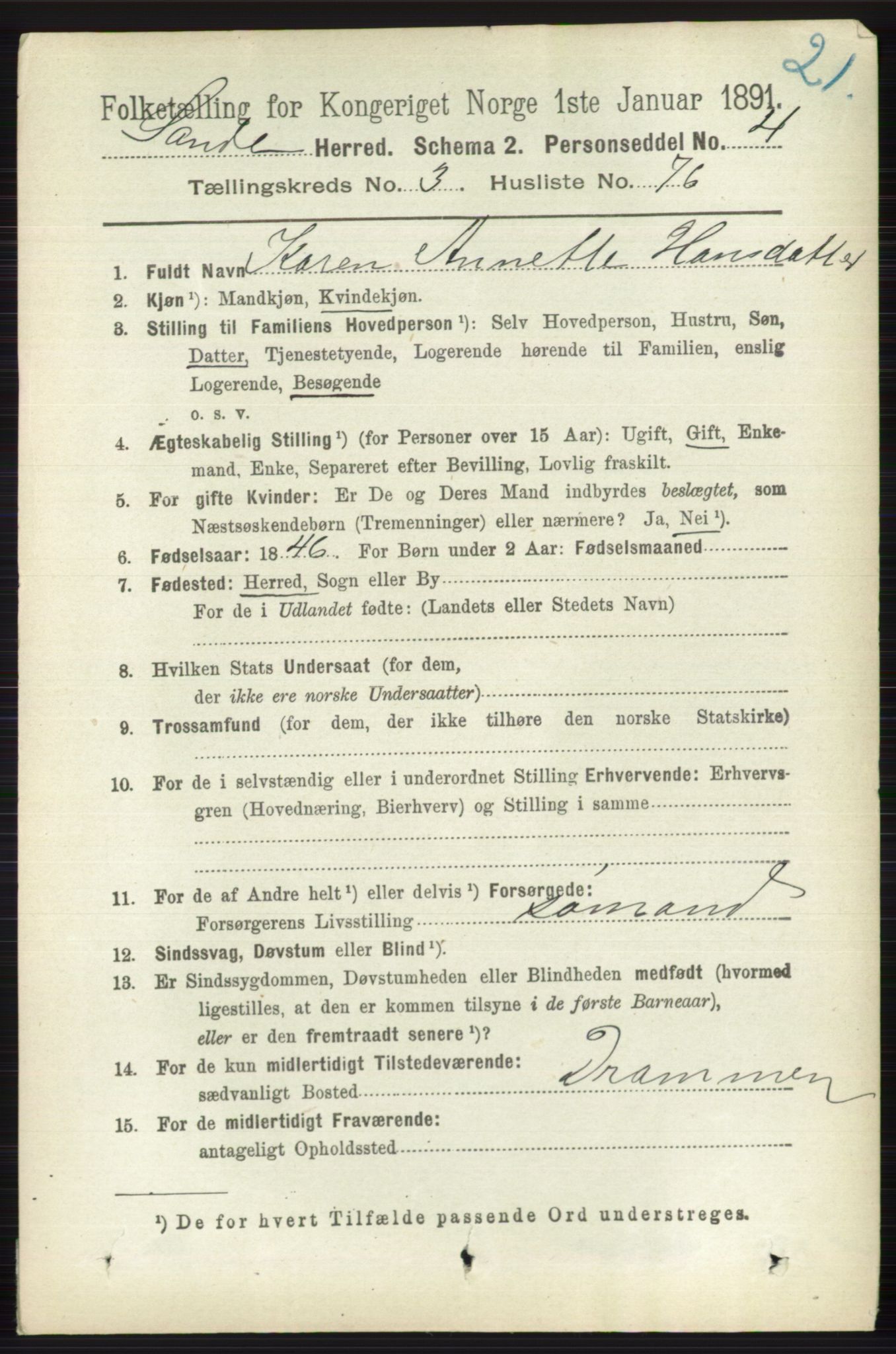 RA, 1891 census for 0713 Sande, 1891, p. 1381