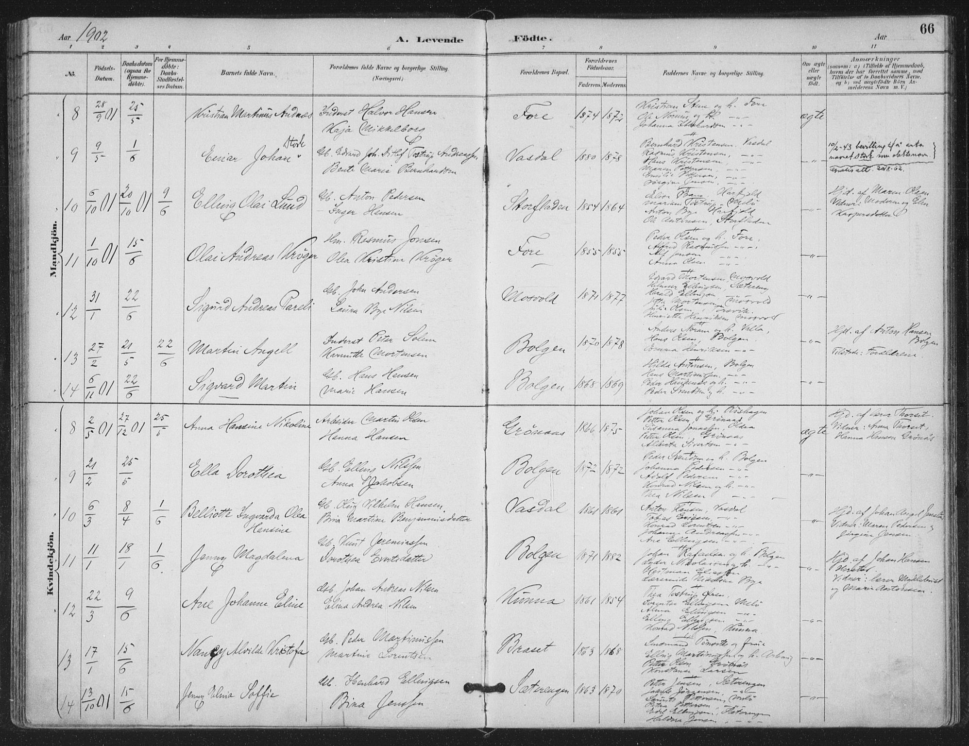 Ministerialprotokoller, klokkerbøker og fødselsregistre - Nordland, SAT/A-1459/843/L0628: Parish register (official) no. 843A03, 1889-1907, p. 66