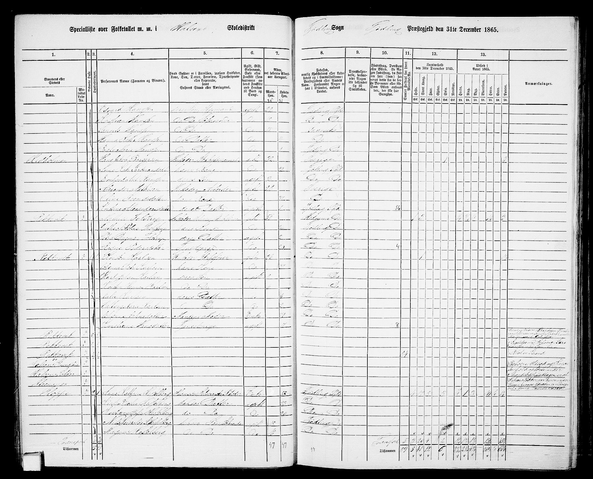 RA, 1865 census for Tjølling, 1865, p. 43