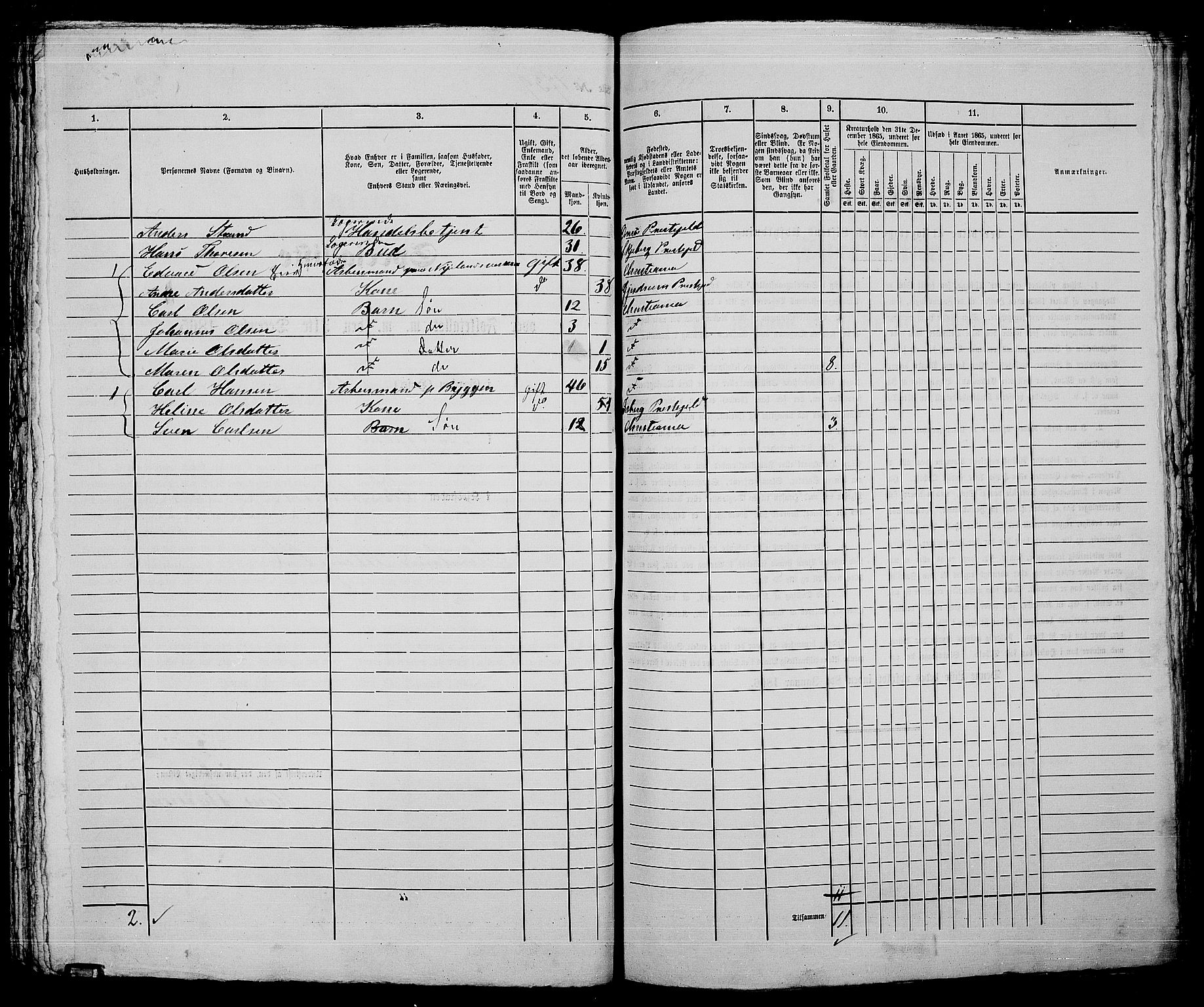 RA, 1865 census for Kristiania, 1865, p. 3919