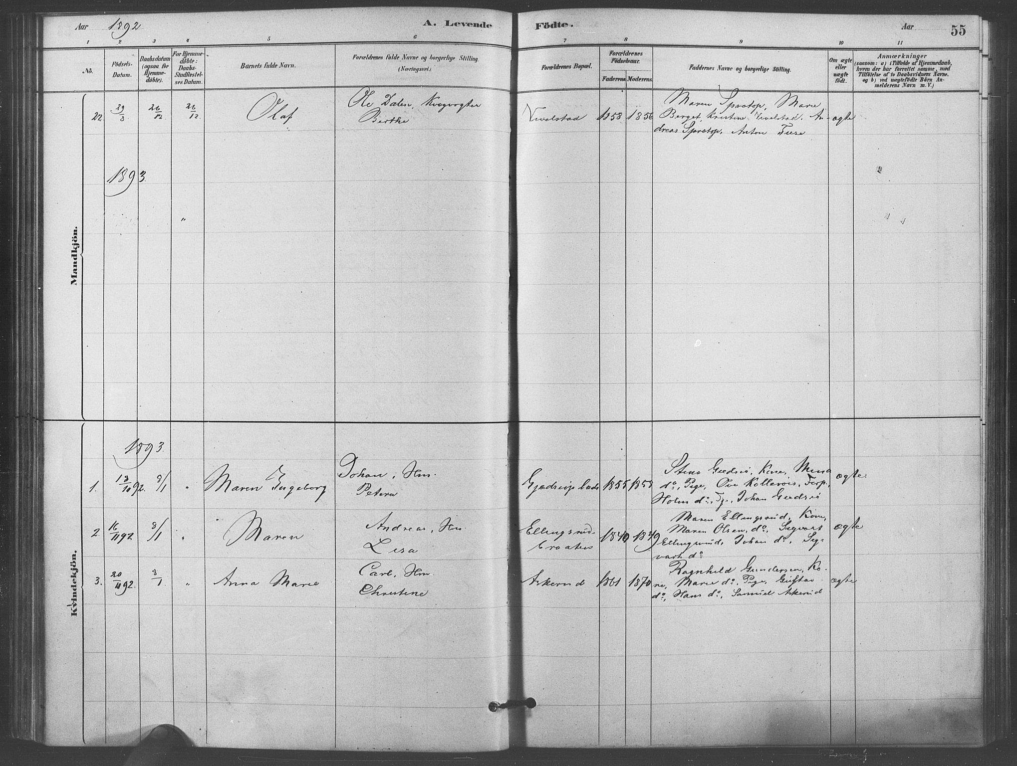 Kråkstad prestekontor Kirkebøker, SAO/A-10125a/F/Fb/L0001: Parish register (official) no. II 1, 1880-1892, p. 55