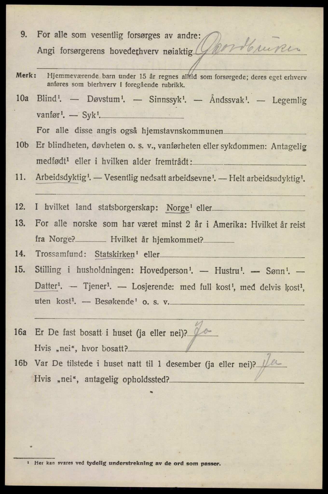 SAKO, 1920 census for Brunlanes, 1920, p. 11546