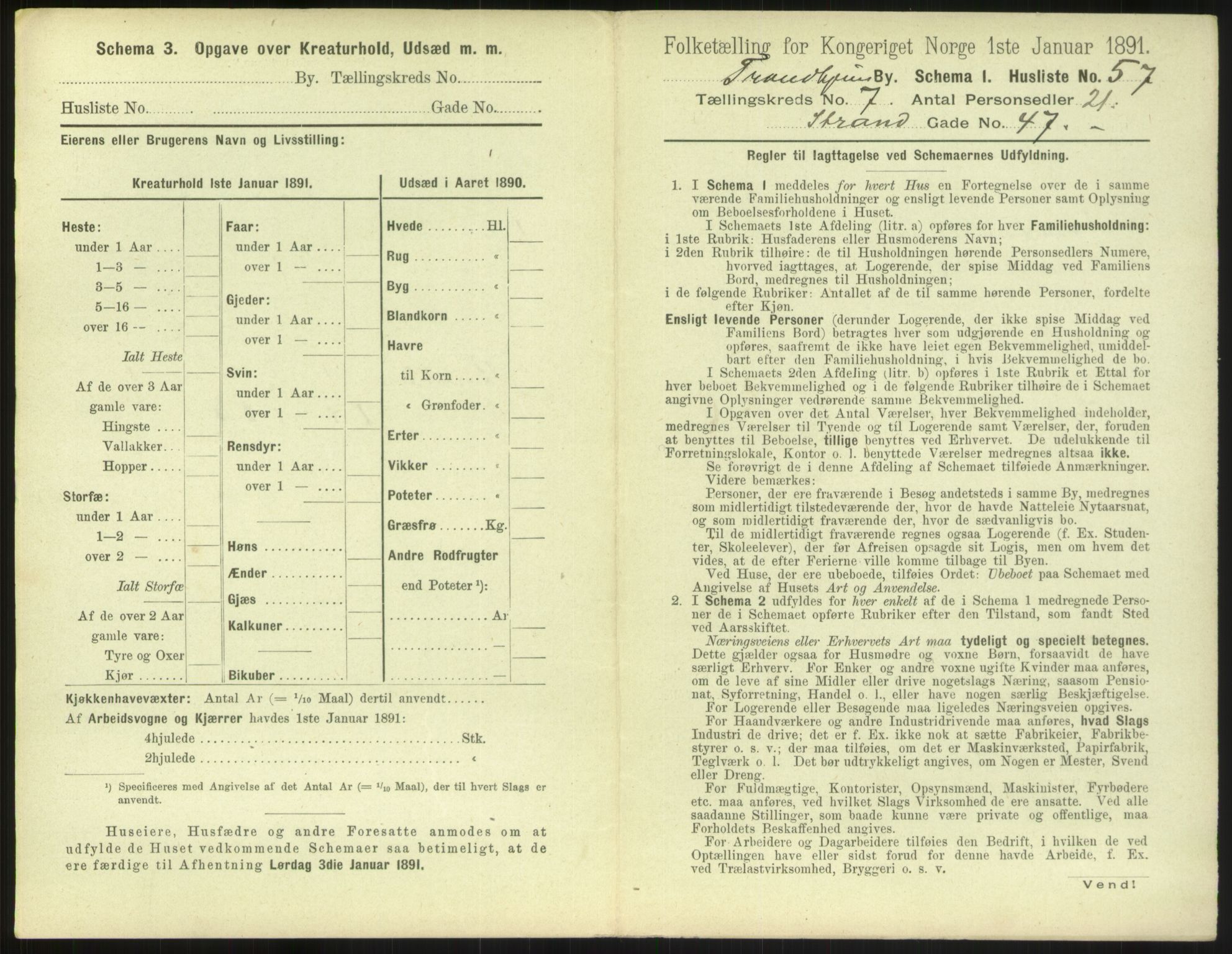 RA, 1891 census for 1601 Trondheim, 1891, p. 852