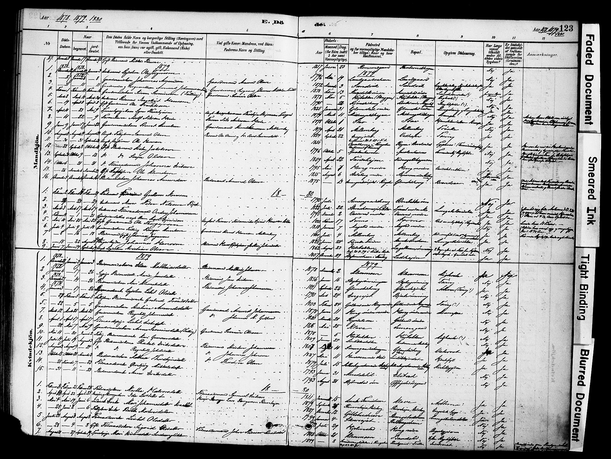 Øyer prestekontor, AV/SAH-PREST-084/H/Ha/Haa/L0009: Parish register (official) no. 9, 1878-1893, p. 123