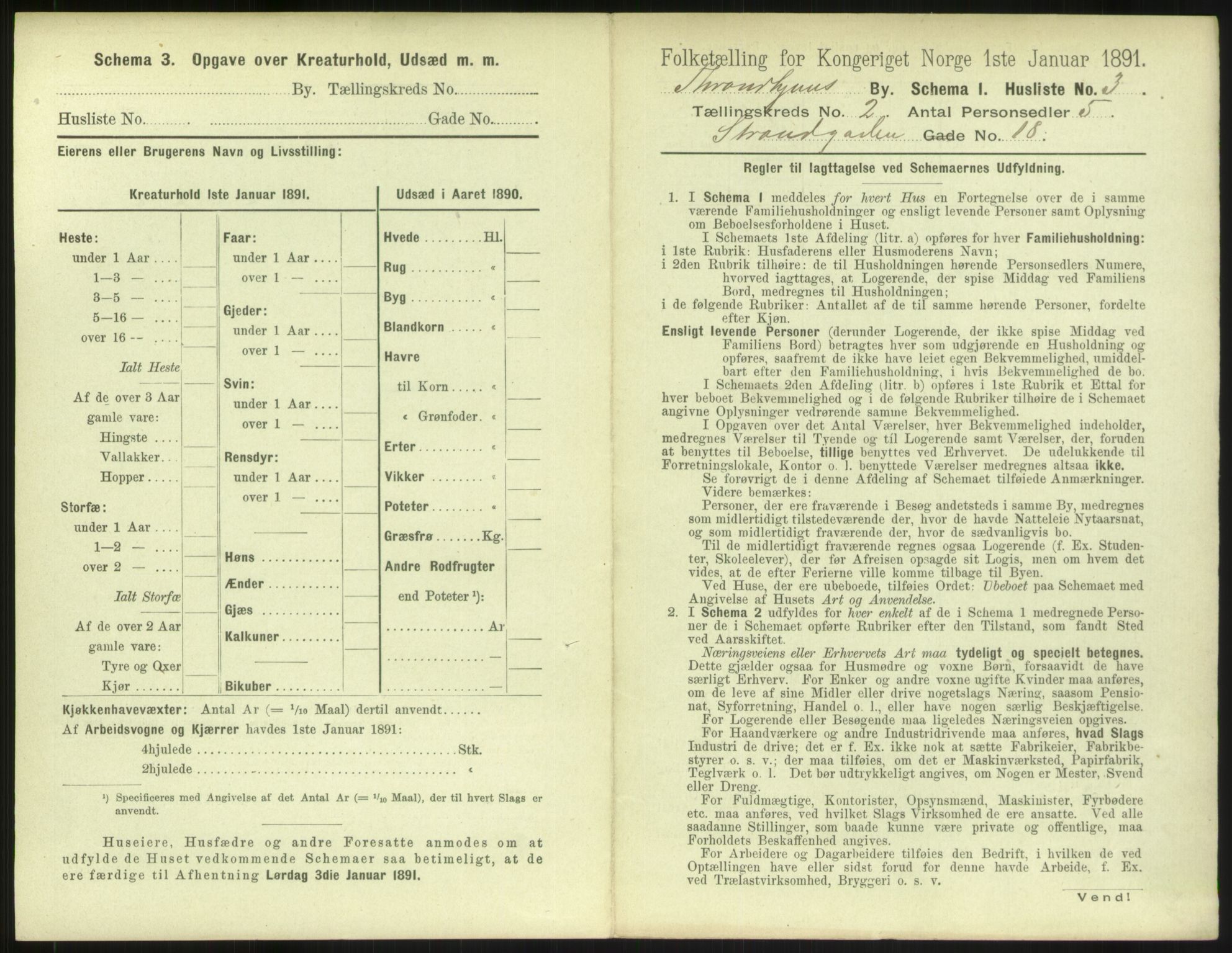 RA, 1891 census for 1601 Trondheim, 1891, p. 240