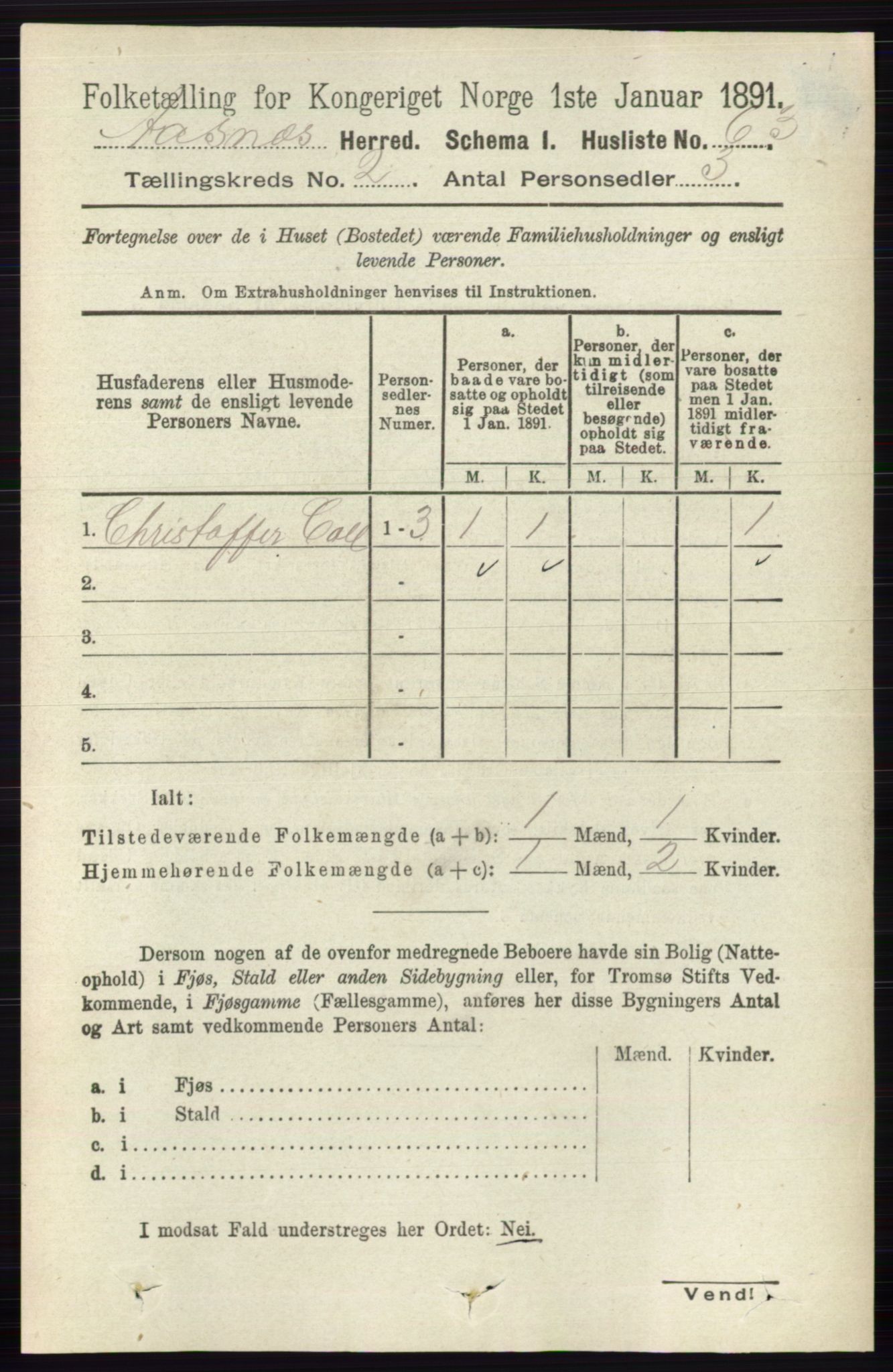 RA, 1891 census for 0425 Åsnes, 1891, p. 641