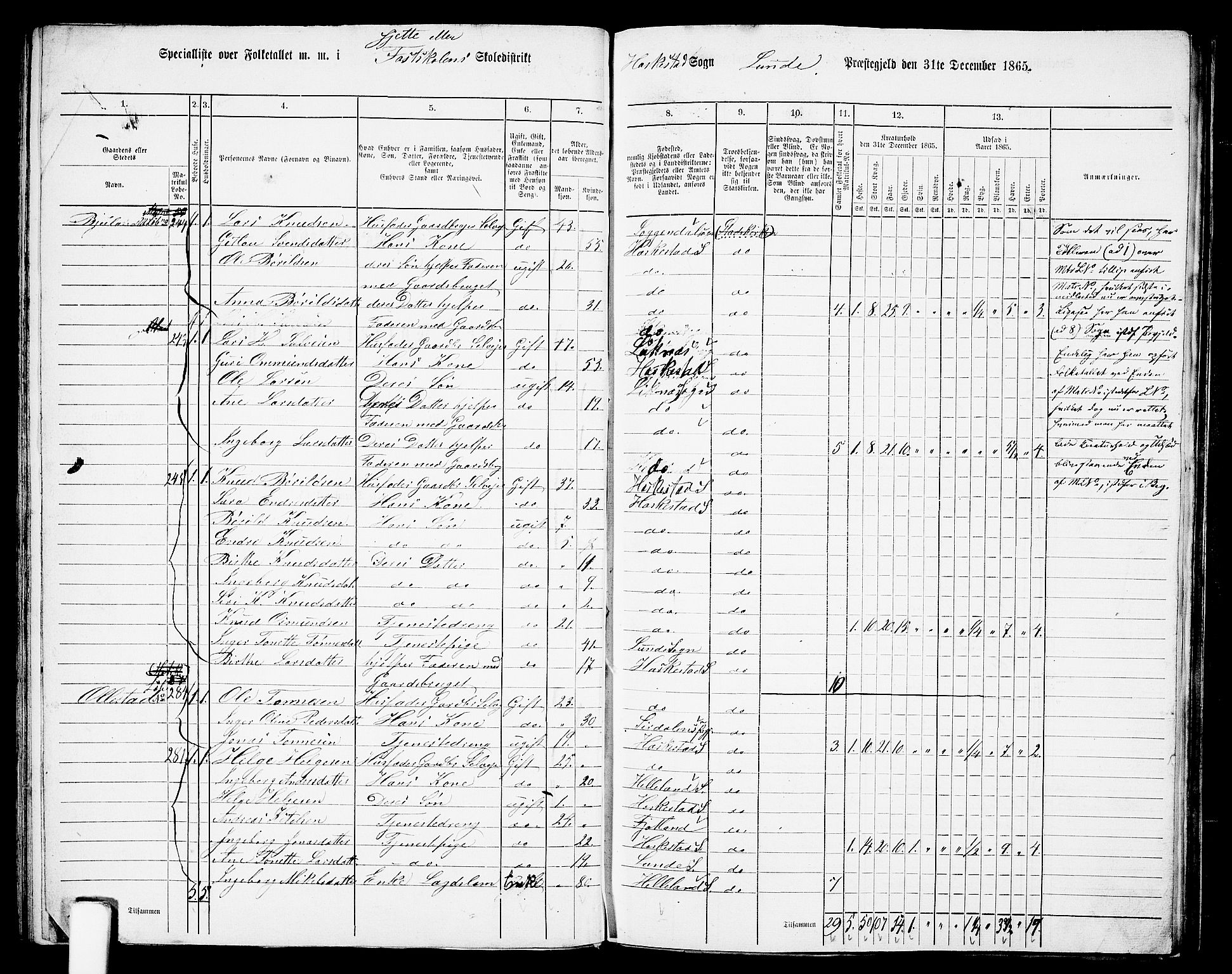 RA, 1865 census for Lund, 1865, p. 73