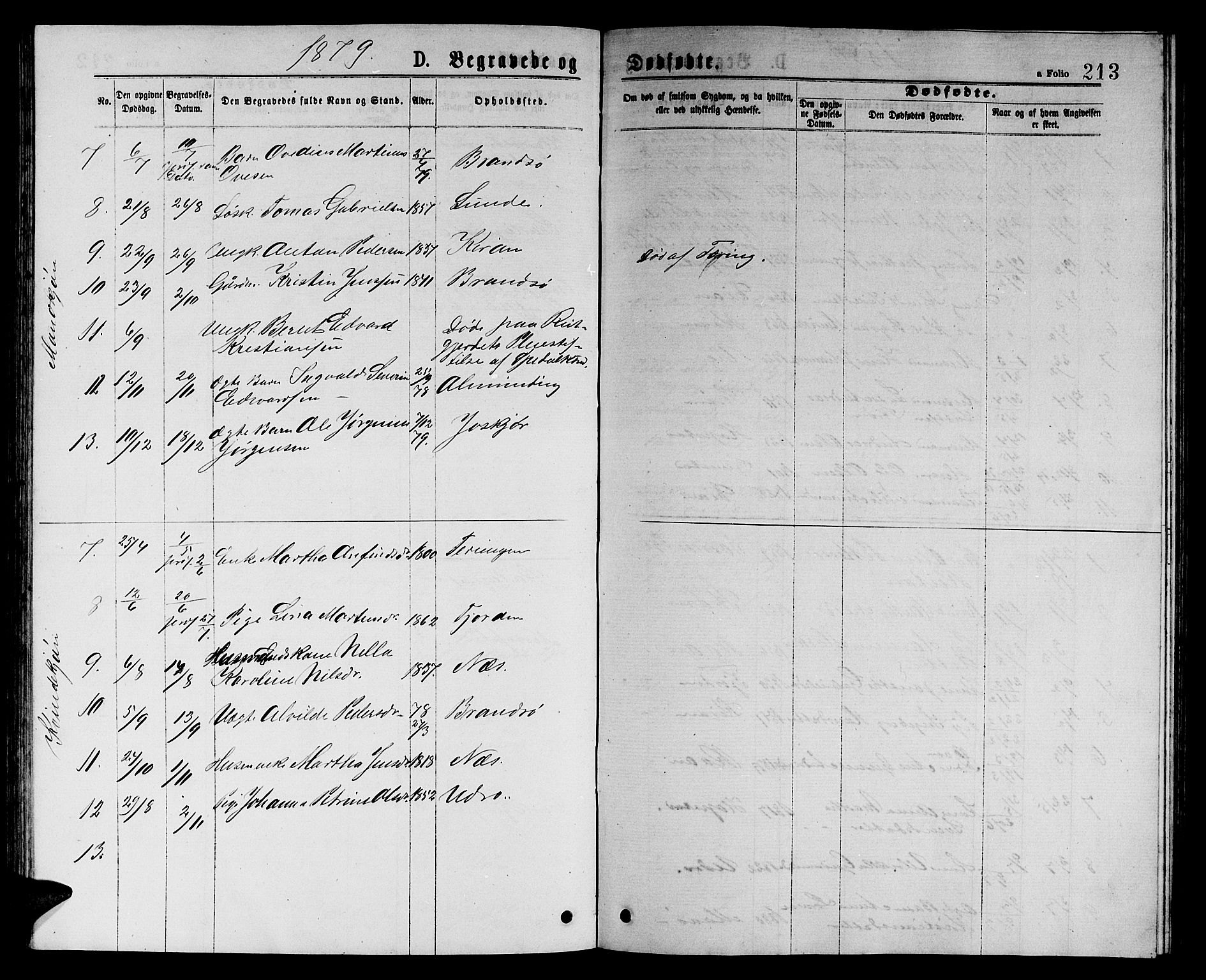 Ministerialprotokoller, klokkerbøker og fødselsregistre - Sør-Trøndelag, SAT/A-1456/657/L0715: Parish register (copy) no. 657C02, 1873-1888, p. 213