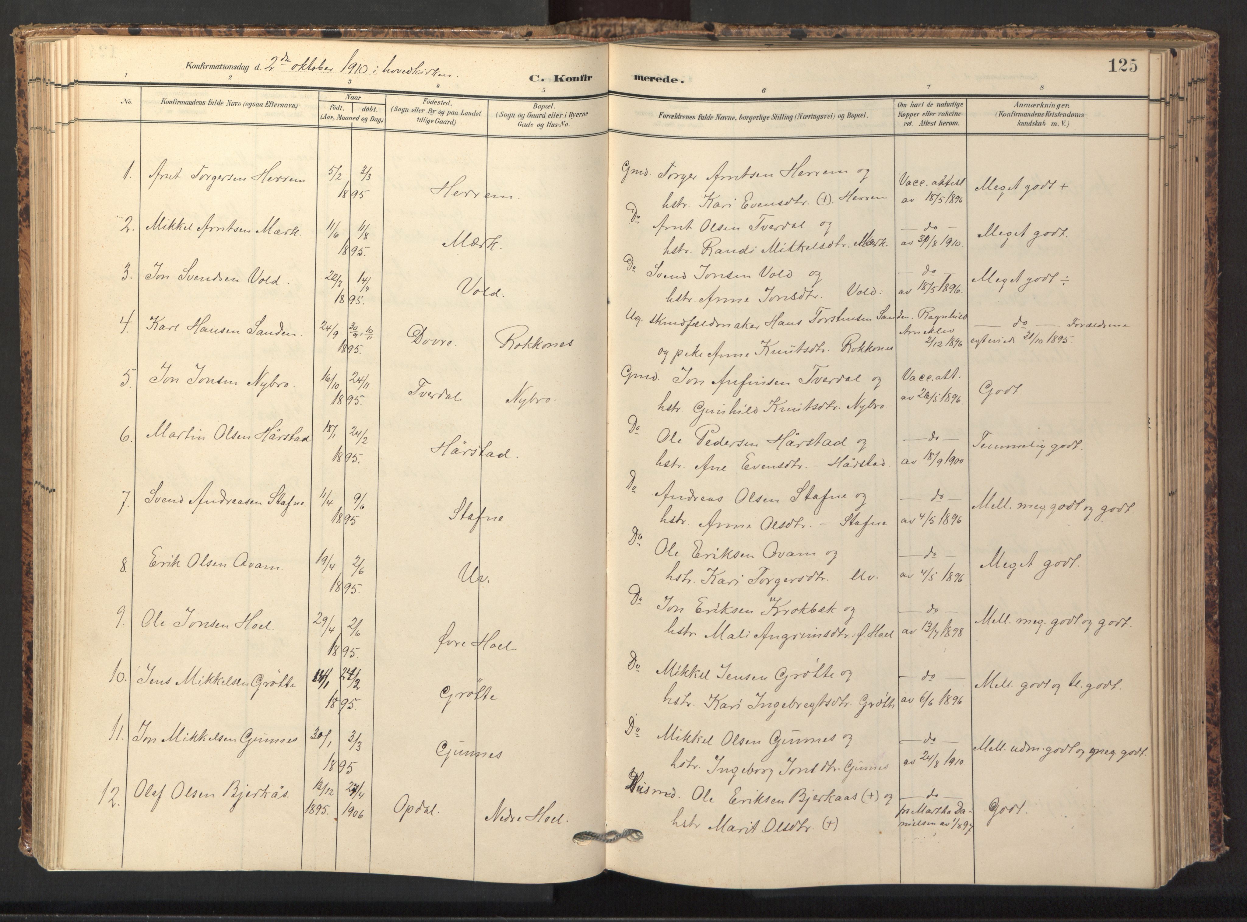 Ministerialprotokoller, klokkerbøker og fødselsregistre - Sør-Trøndelag, SAT/A-1456/674/L0873: Parish register (official) no. 674A05, 1908-1923, p. 125