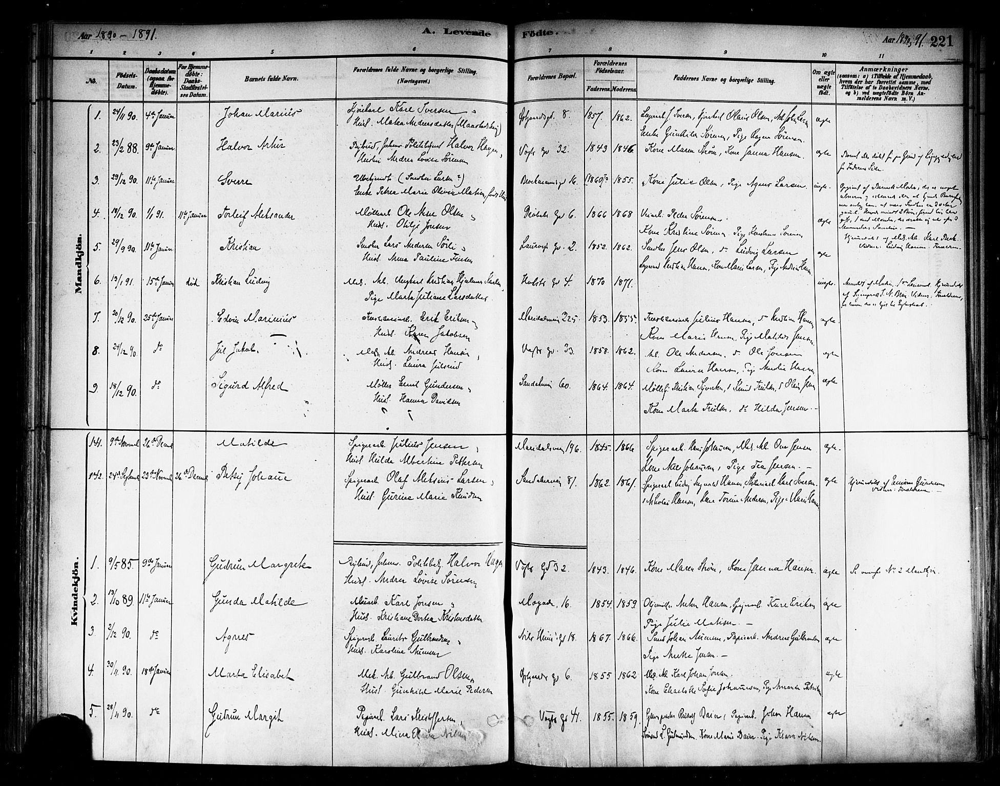 Sagene prestekontor Kirkebøker, SAO/A-10796/F/L0001: Parish register (official) no. 1, 1880-1893, p. 221