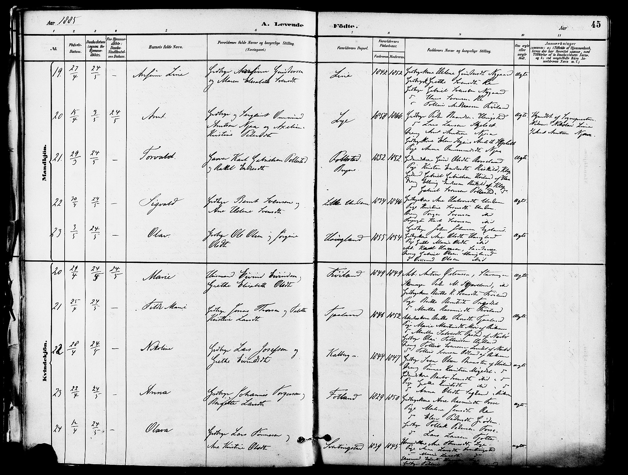 Lye sokneprestkontor, AV/SAST-A-101794/001/30BA/L0009: Parish register (official) no. A 8, 1881-1892, p. 45