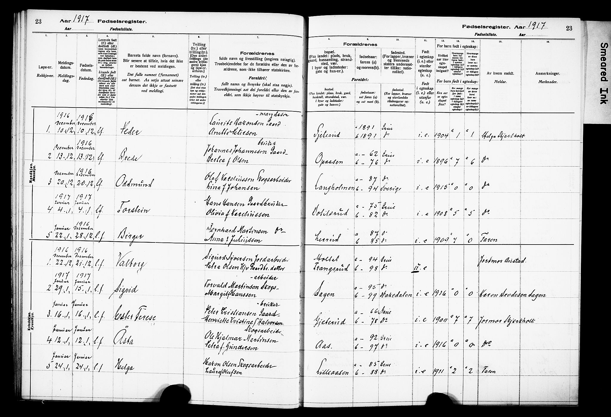 Grue prestekontor, AV/SAH-PREST-036/I/Id/Ida/L0001: Birth register no. I 1, 1916-1926, p. 23