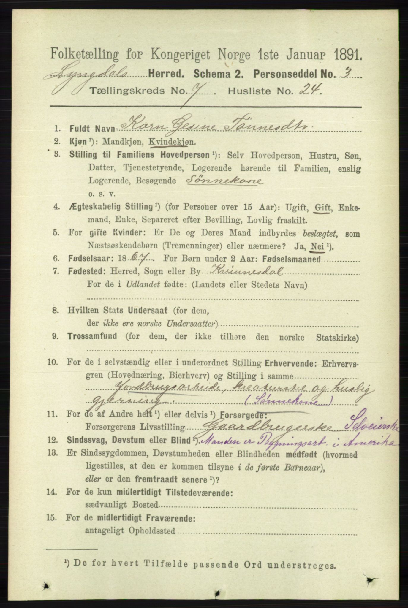 RA, 1891 census for 1032 Lyngdal, 1891, p. 3048