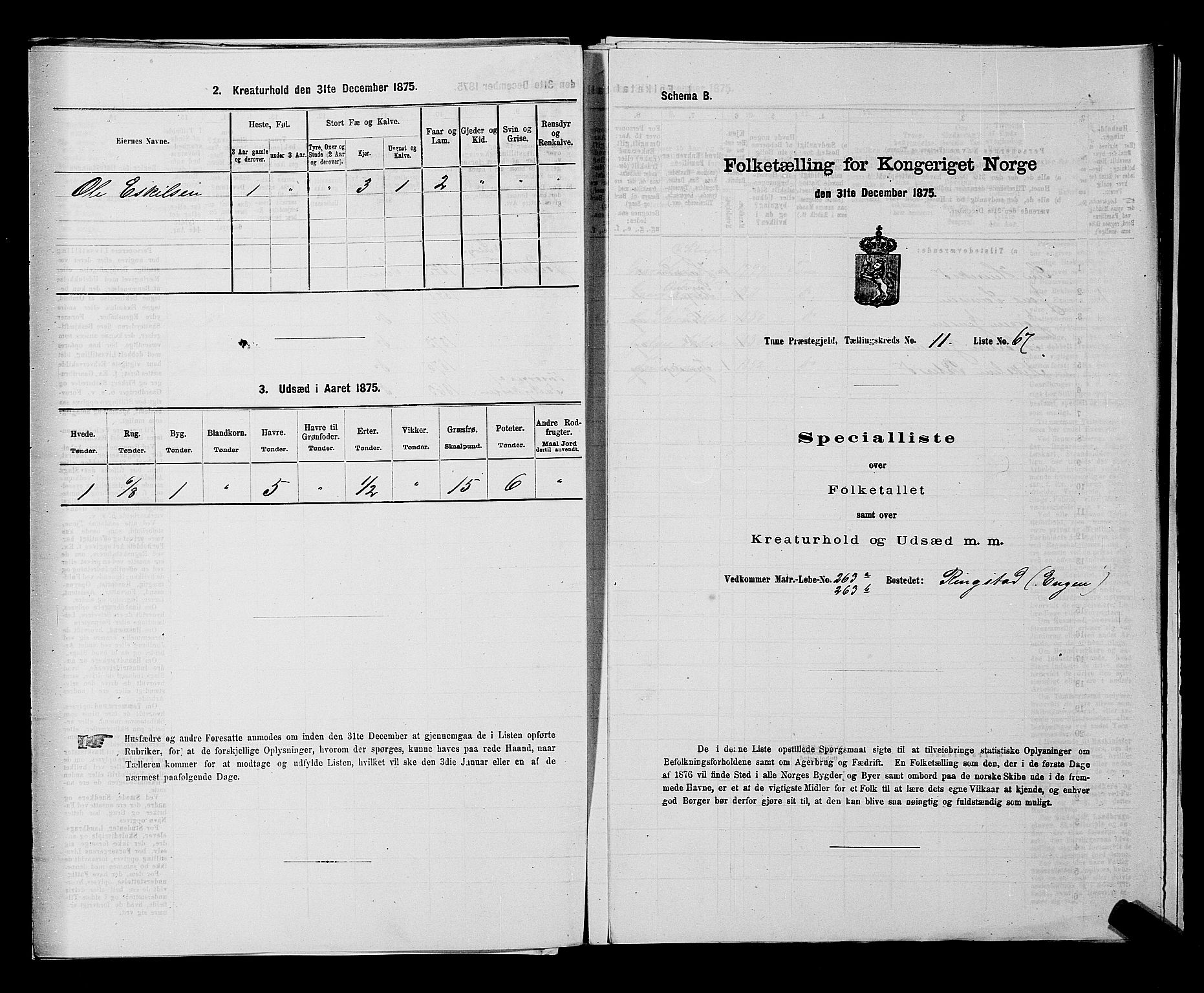 RA, 1875 census for 0130P Tune, 1875, p. 1838