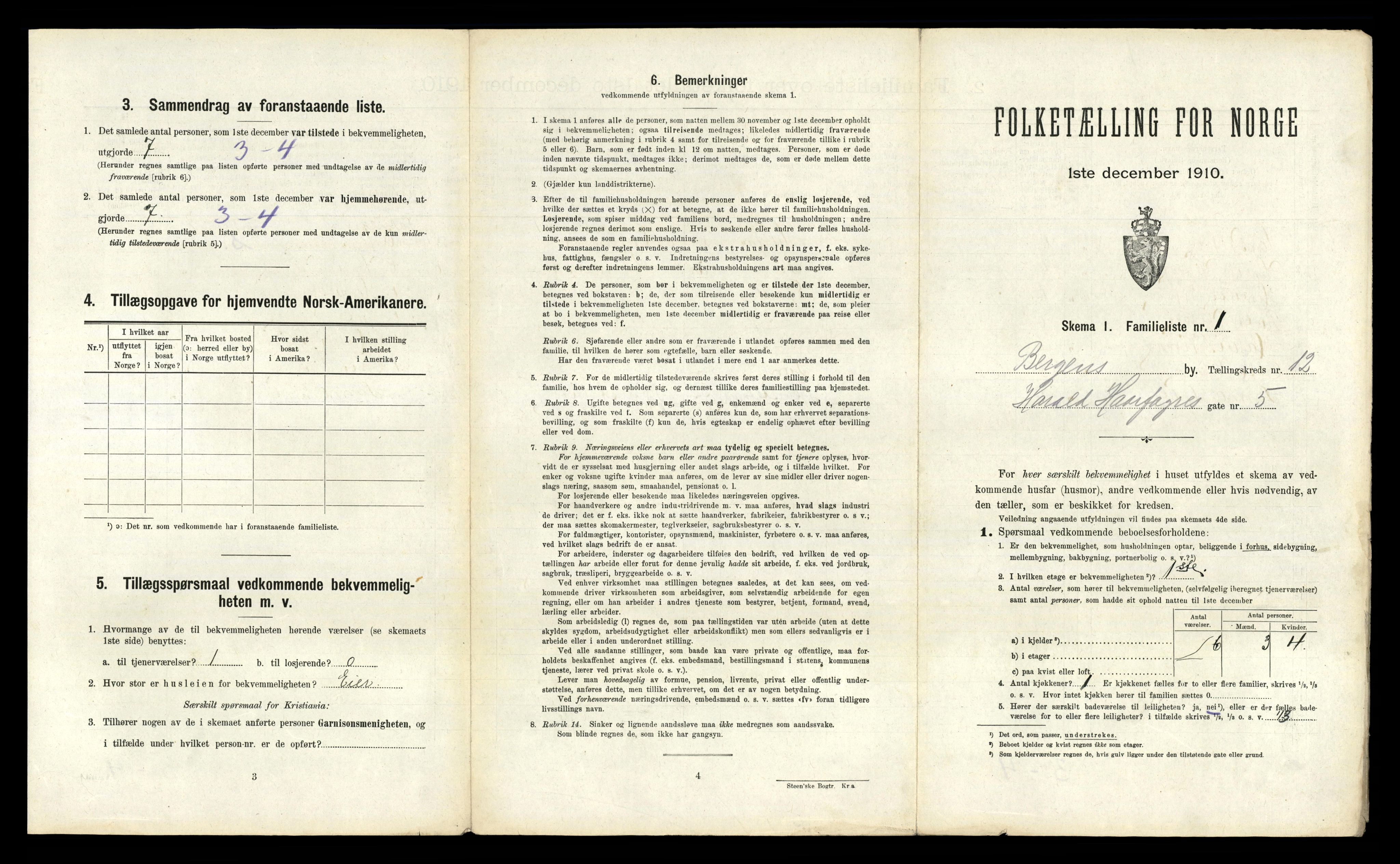 RA, 1910 census for Bergen, 1910, p. 4125