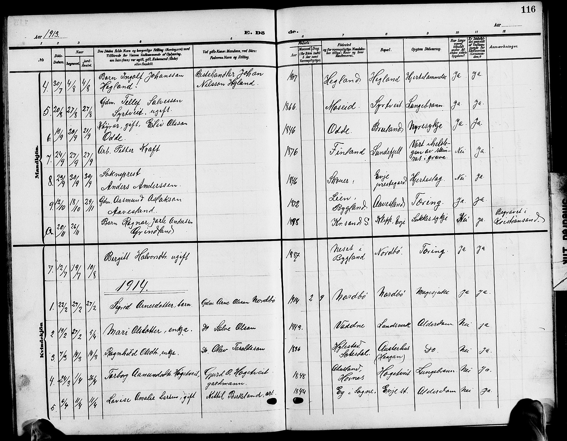 Evje sokneprestkontor, AV/SAK-1111-0008/F/Fb/Fba/L0004: Parish register (copy) no. B 4, 1899-1914, p. 116