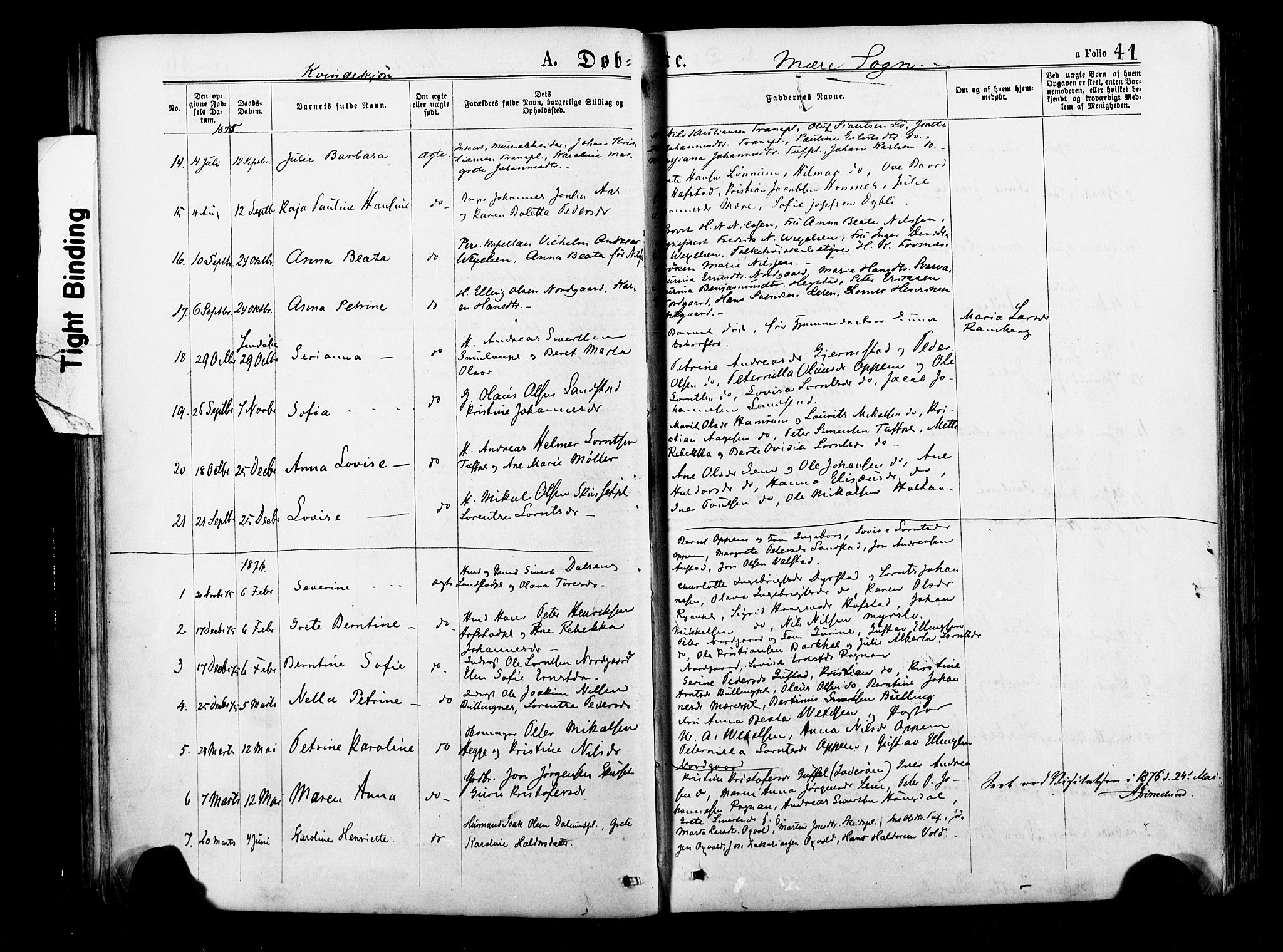 Ministerialprotokoller, klokkerbøker og fødselsregistre - Nord-Trøndelag, SAT/A-1458/735/L0348: Parish register (official) no. 735A09 /1, 1873-1883, p. 41