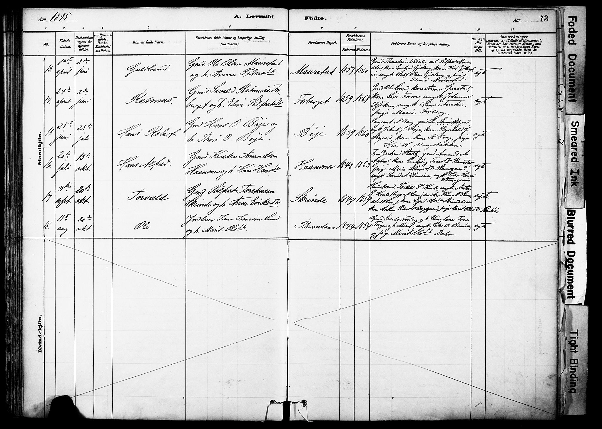 Skjåk prestekontor, SAH/PREST-072/H/Ha/Haa/L0003: Parish register (official) no. 3, 1880-1907, p. 73