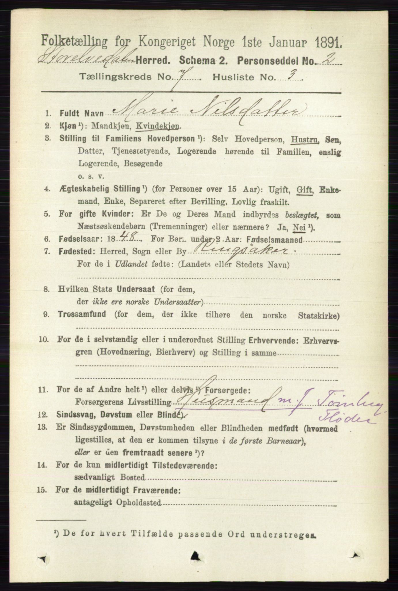 RA, 1891 census for 0430 Stor-Elvdal, 1891, p. 2663