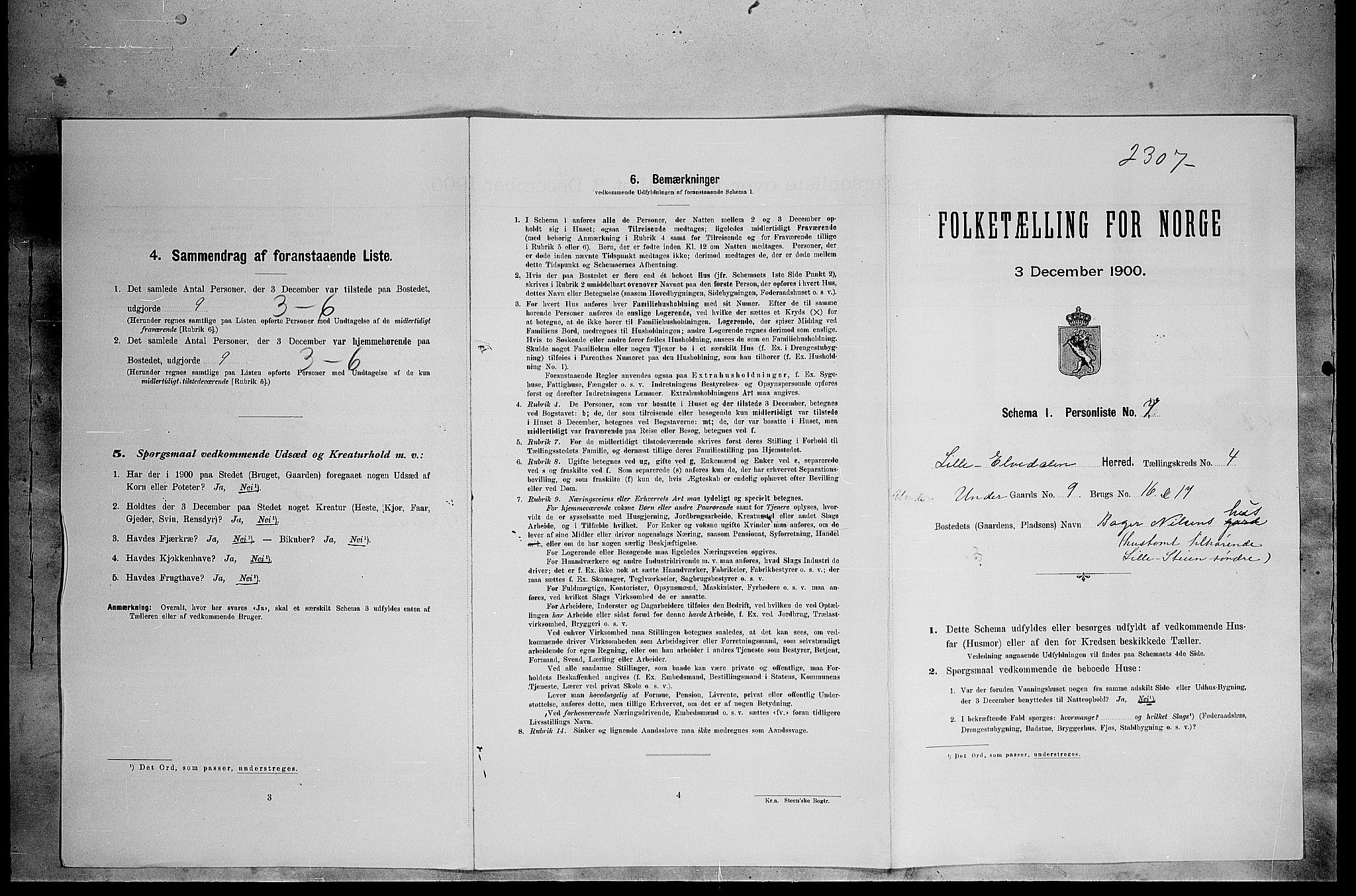 SAH, 1900 census for Lille Elvedalen, 1900, p. 319