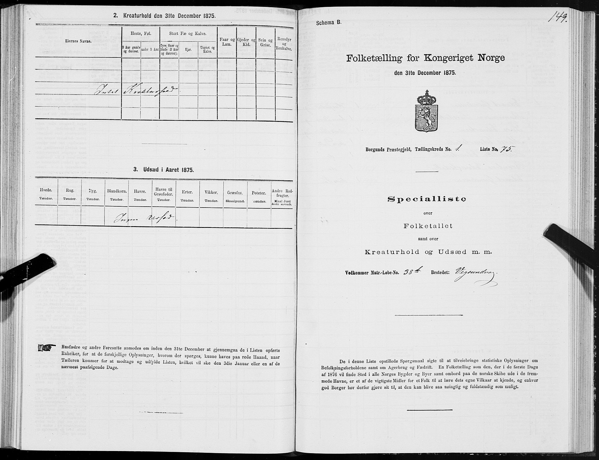 SAT, 1875 census for 1531P Borgund, 1875, p. 1149