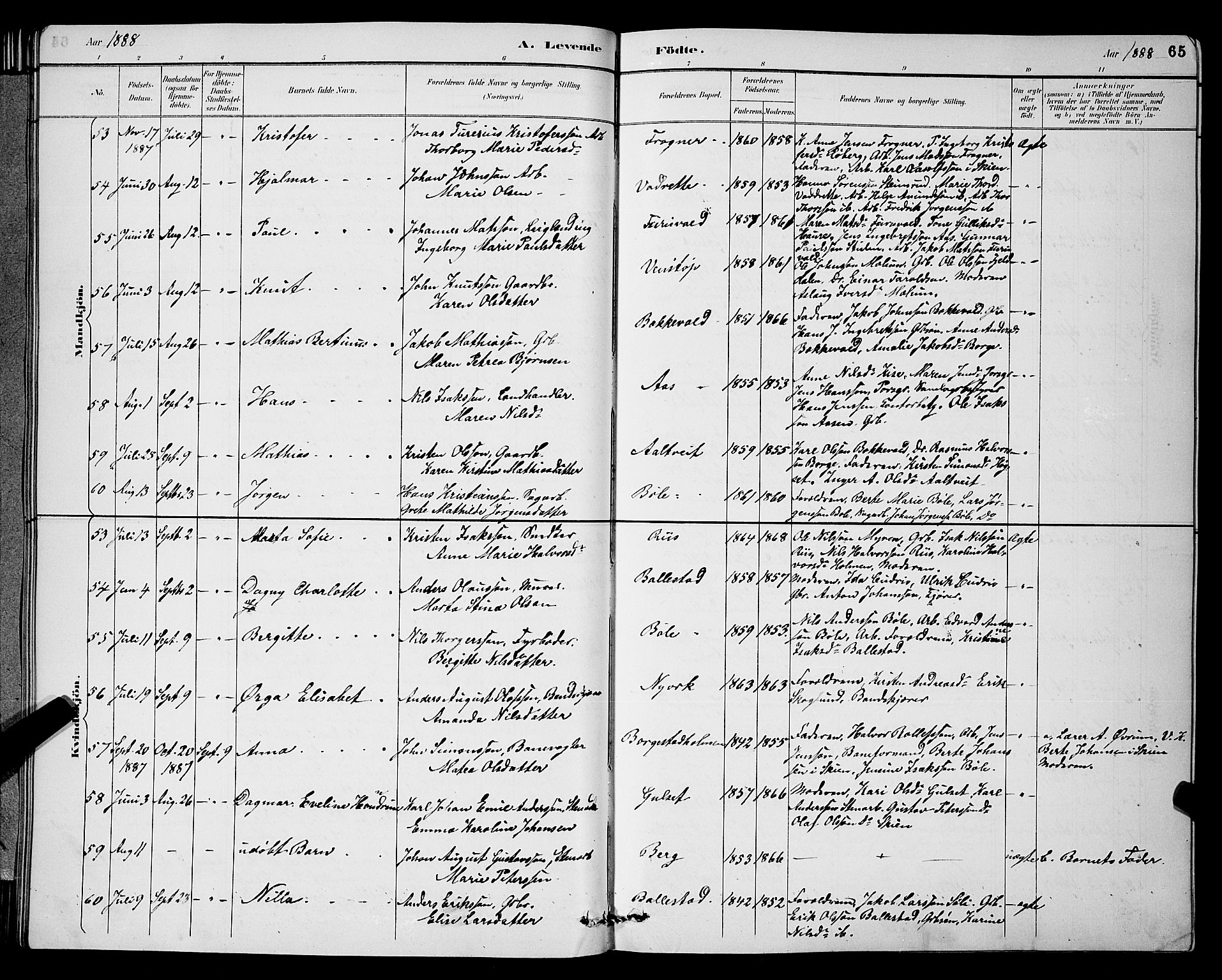 Gjerpen kirkebøker, SAKO/A-265/G/Ga/L0002: Parish register (copy) no. I 2, 1883-1900, p. 65