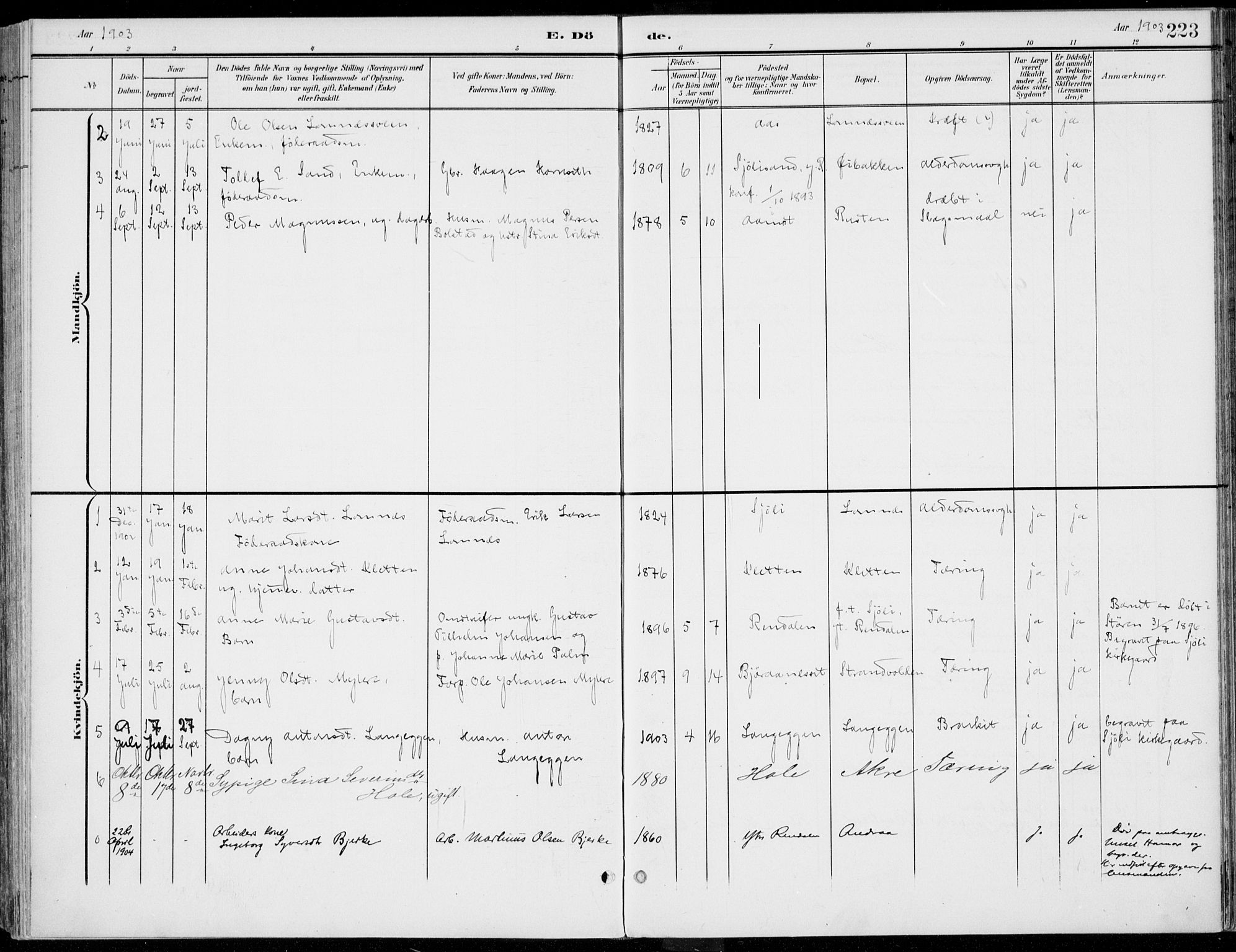 Rendalen prestekontor, SAH/PREST-054/H/Ha/Haa/L0011: Parish register (official) no. 11, 1901-1925, p. 223