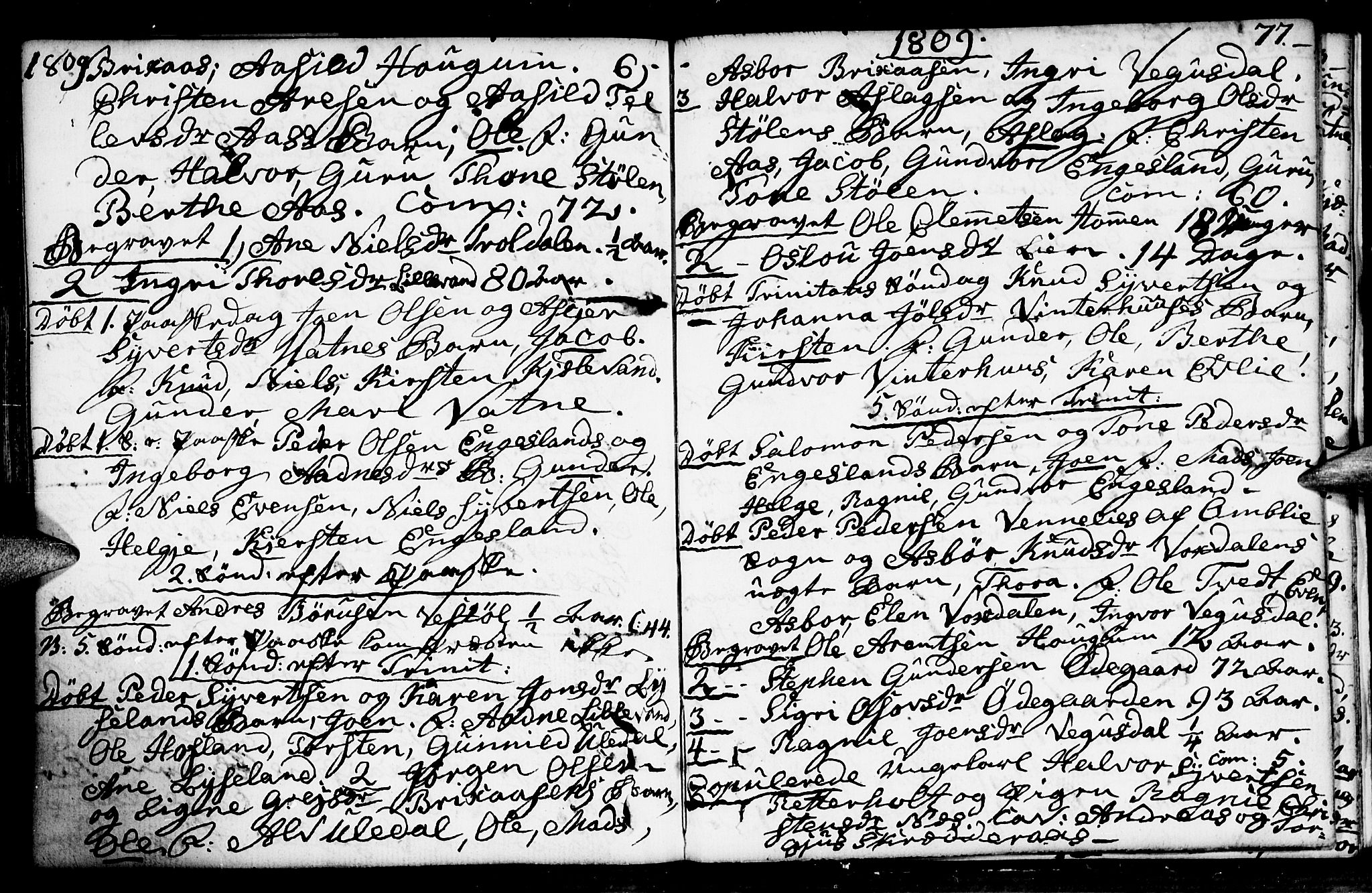 Herefoss sokneprestkontor, AV/SAK-1111-0019/F/Fa/Fab/L0002: Parish register (official) no. A 2, 1780-1816, p. 77