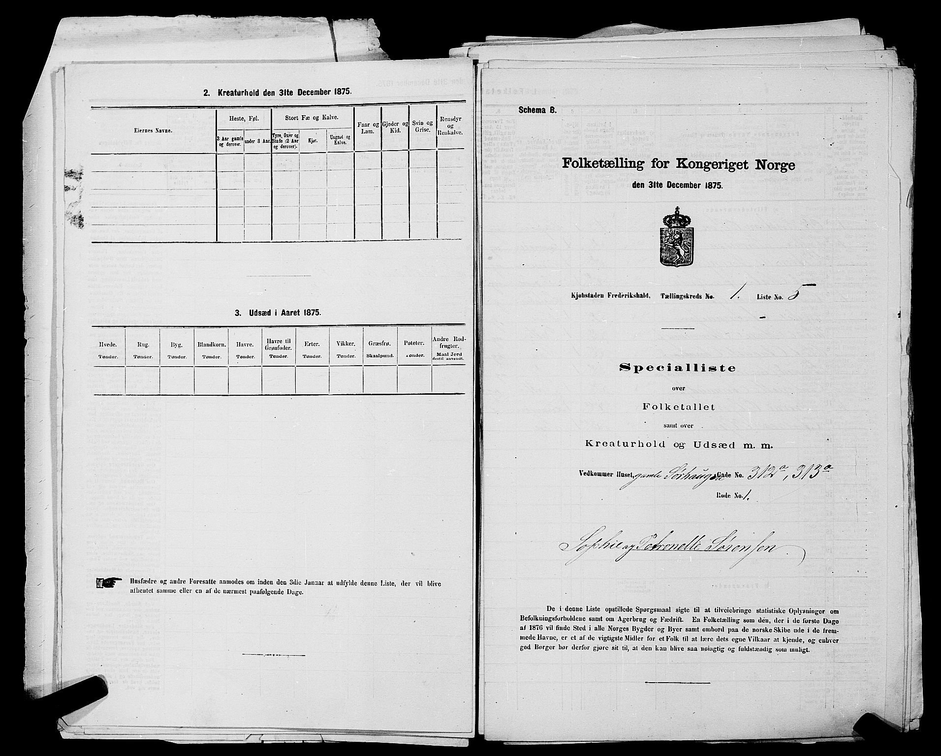 RA, 1875 census for 0101P Fredrikshald, 1875, p. 20