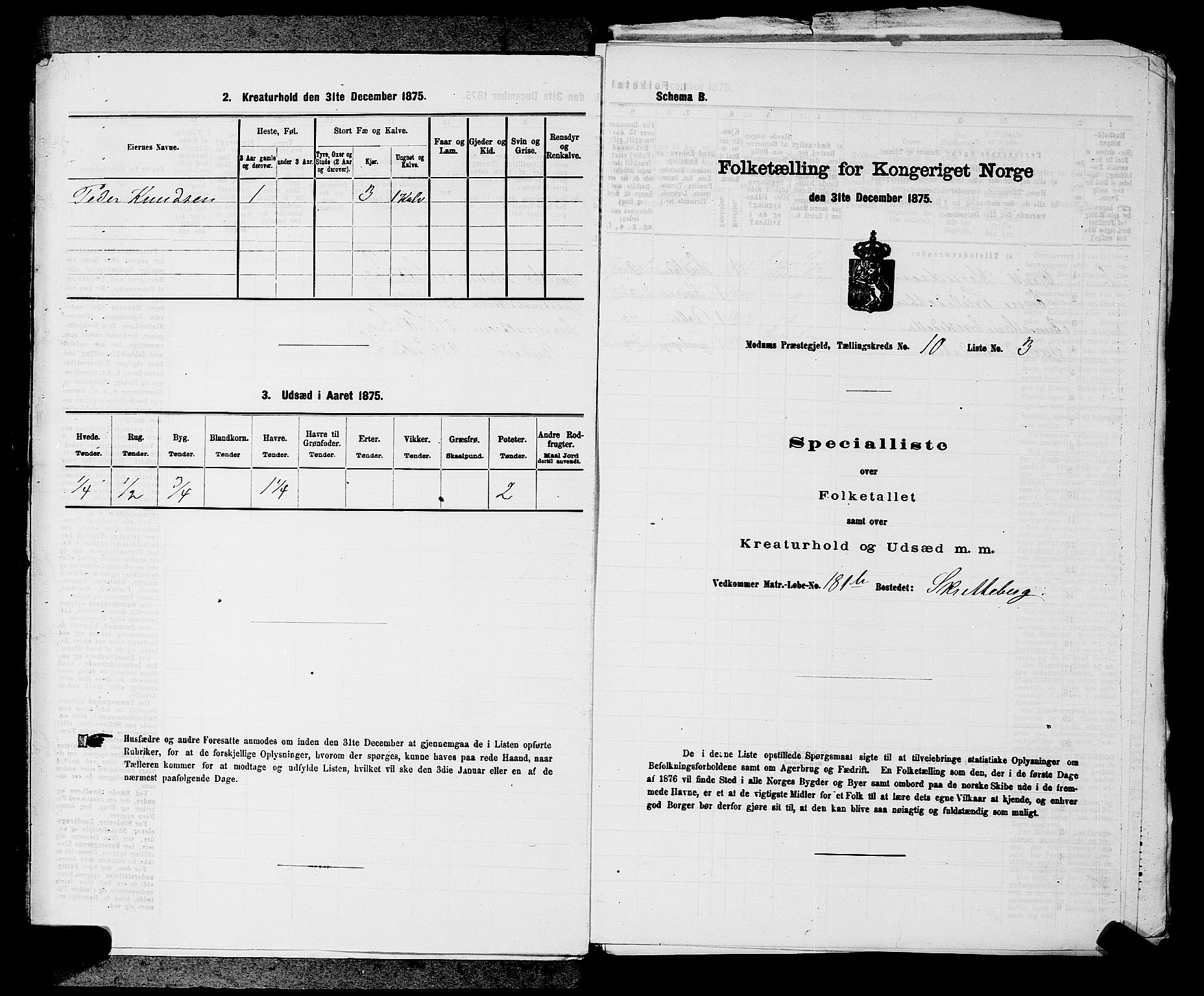 SAKO, 1875 census for 0623P Modum, 1875, p. 1153