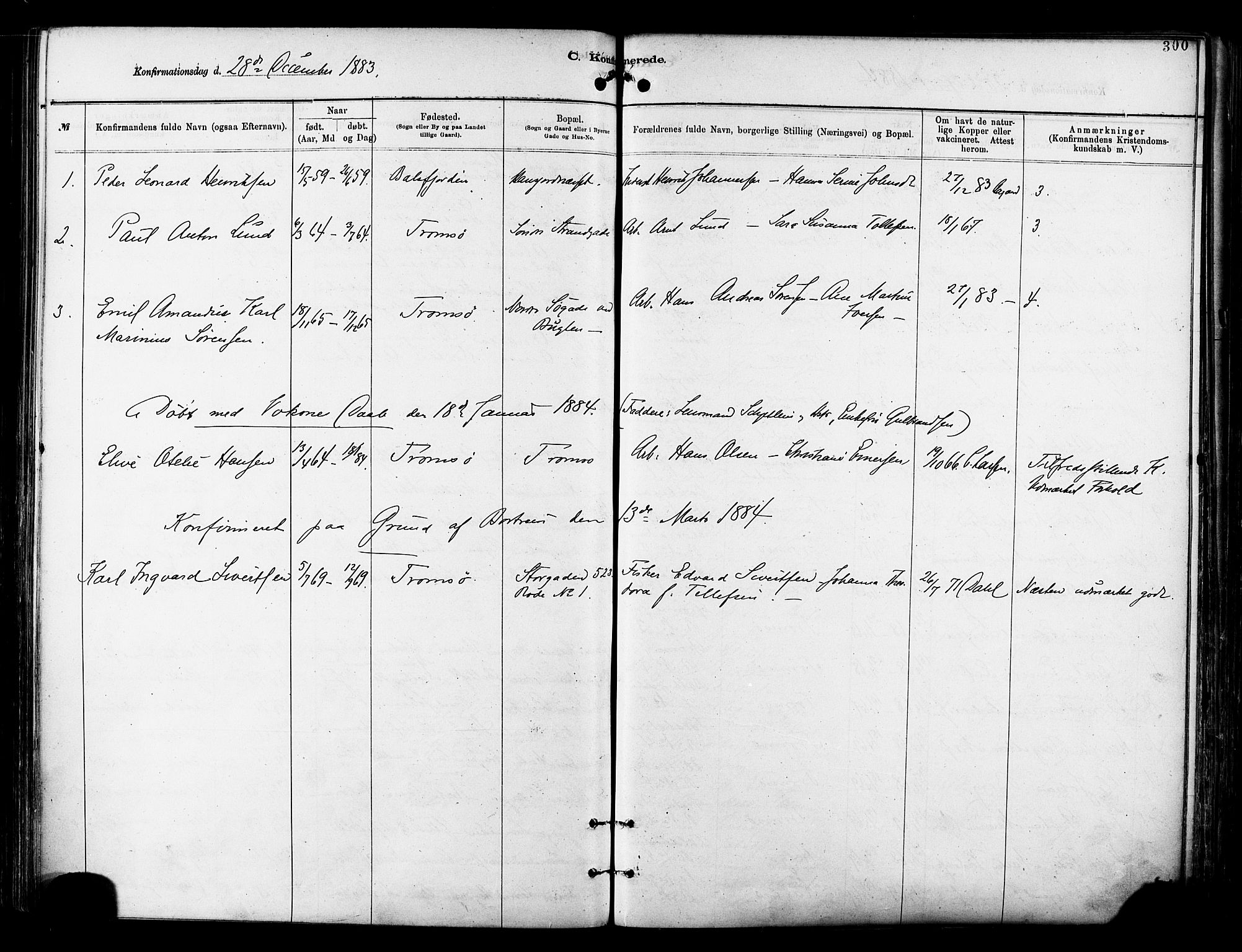 Tromsø sokneprestkontor/stiftsprosti/domprosti, AV/SATØ-S-1343/G/Ga/L0014kirke: Parish register (official) no. 14, 1878-1888, p. 300