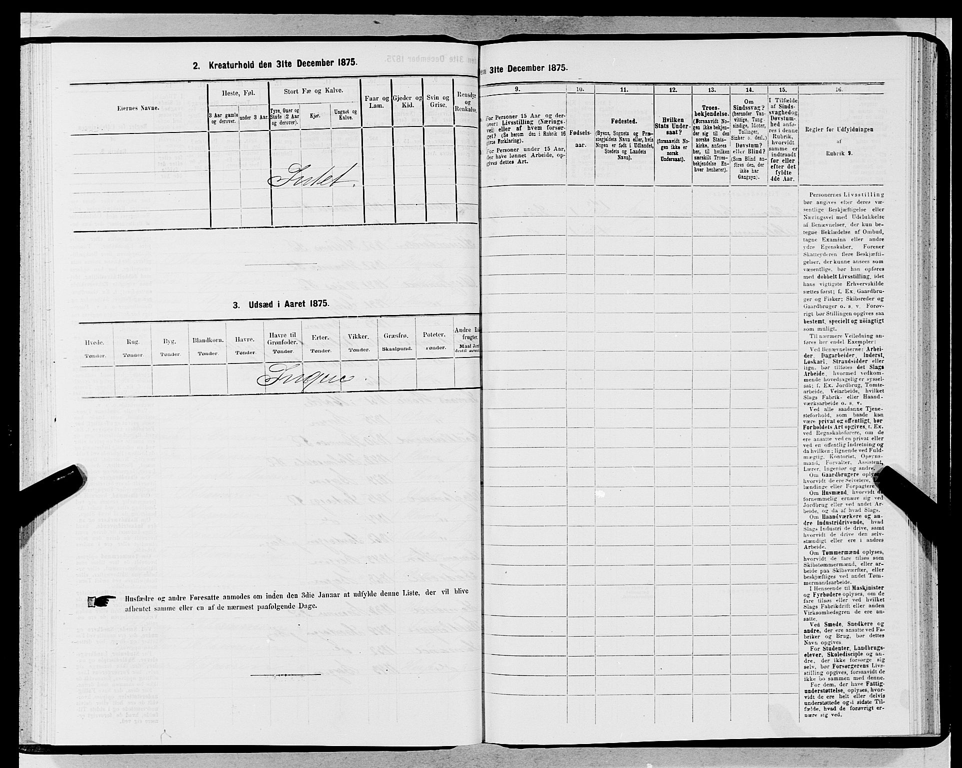 SAB, 1875 census for 1301 Bergen, 1875, p. 5809