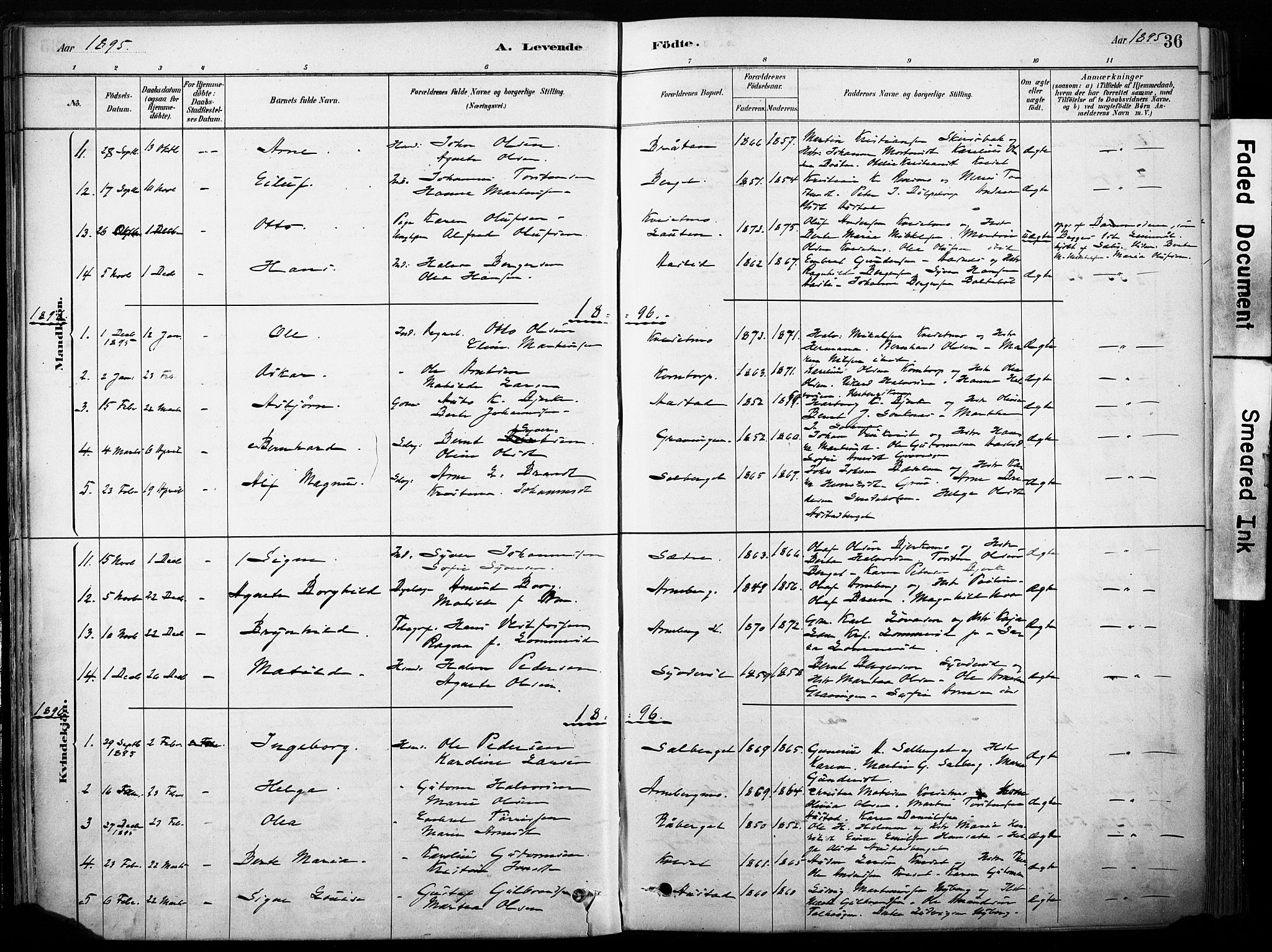 Hof prestekontor, AV/SAH-PREST-038/H/Ha/Haa/L0011: Parish register (official) no. 11, 1879-1911, p. 36