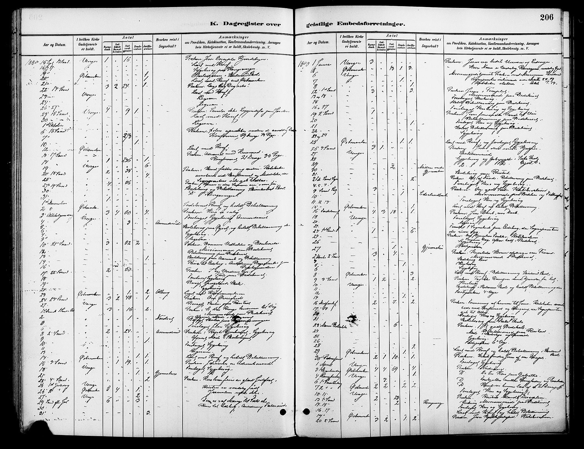 Vinger prestekontor, SAH/PREST-024/H/Ha/Haa/L0013: Parish register (official) no. 13, 1881-1897, p. 206